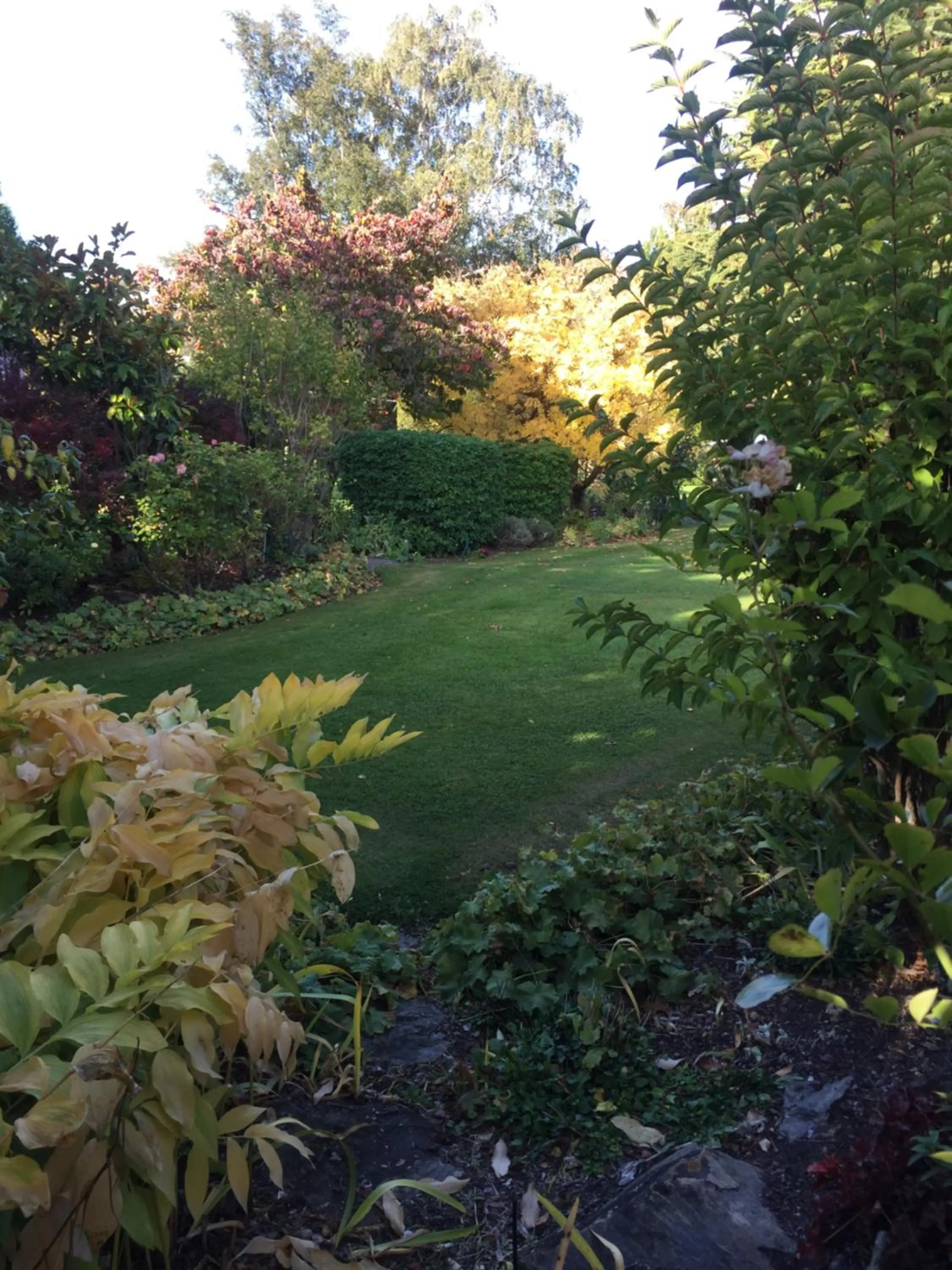 Garden in Alexandra Garden Court Motel