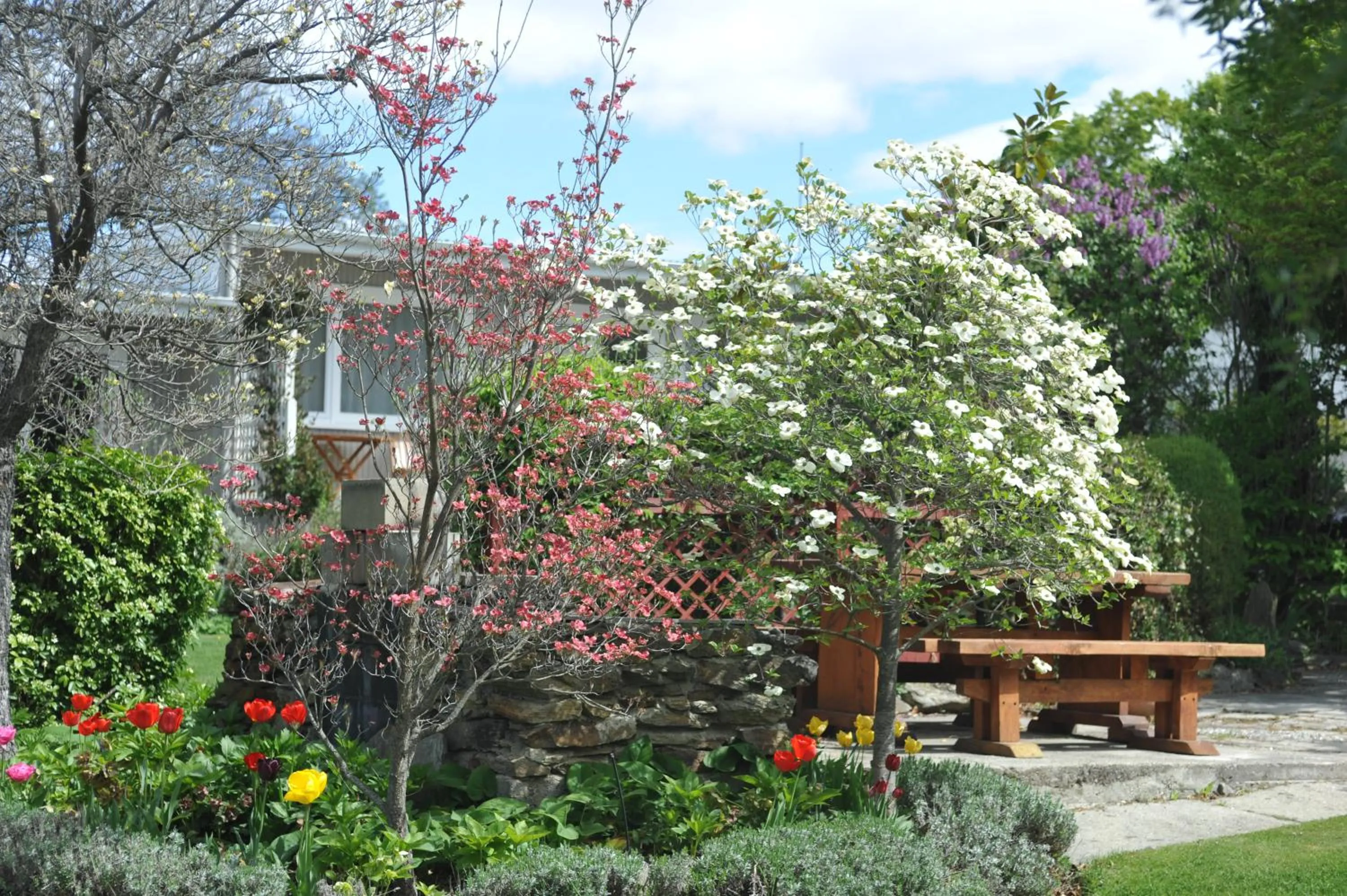 Garden in Alexandra Garden Court Motel