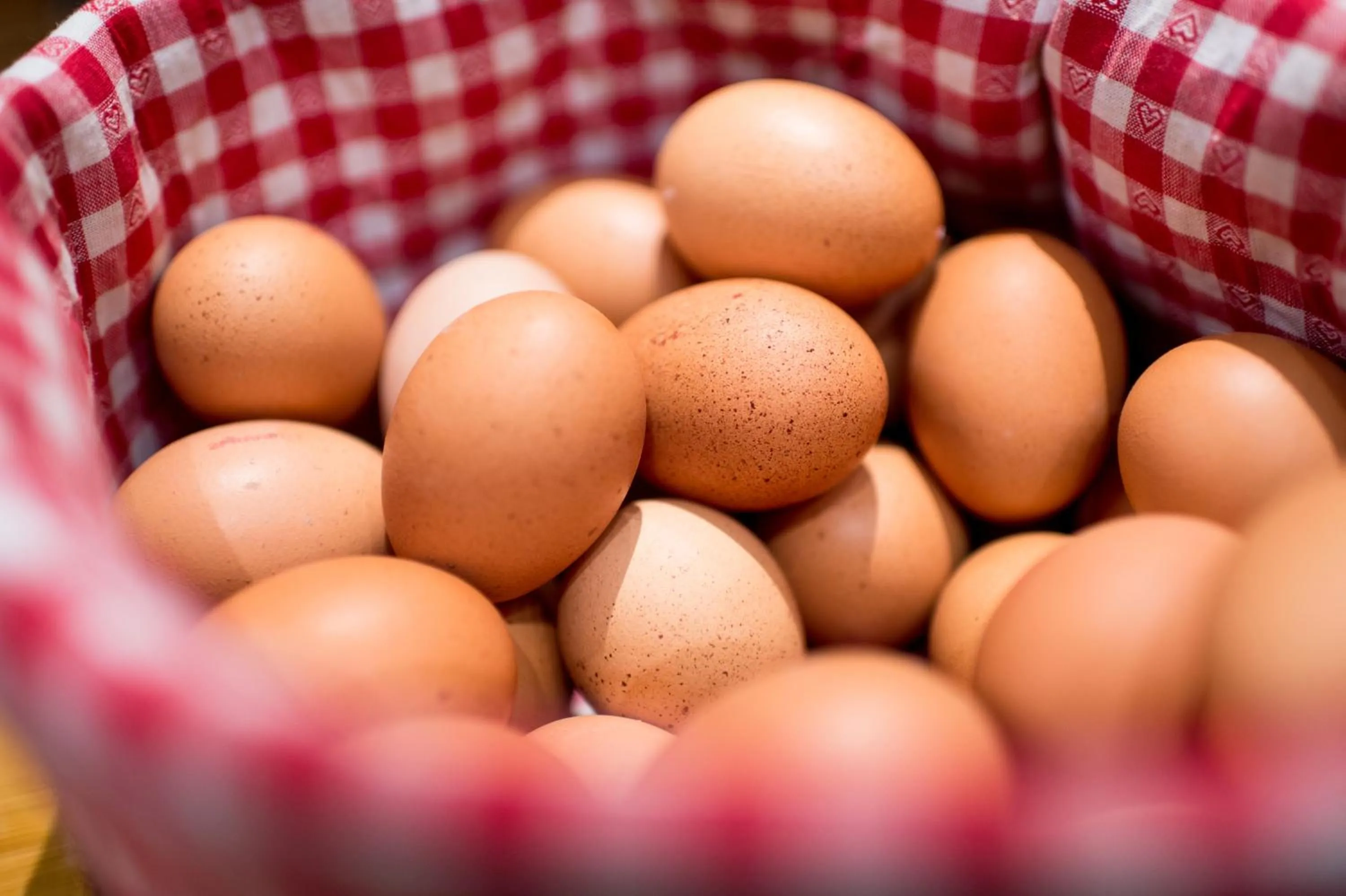Food close-up in Wellness Hotel Alpenhof