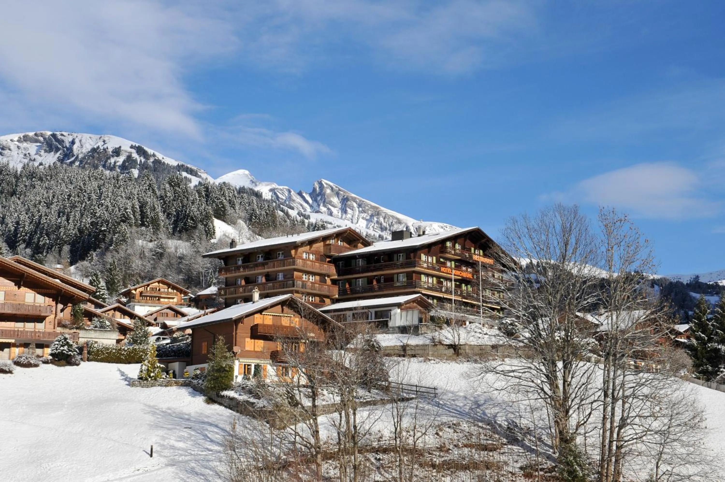 Facade/entrance in Hotel Kirchbühl Superior