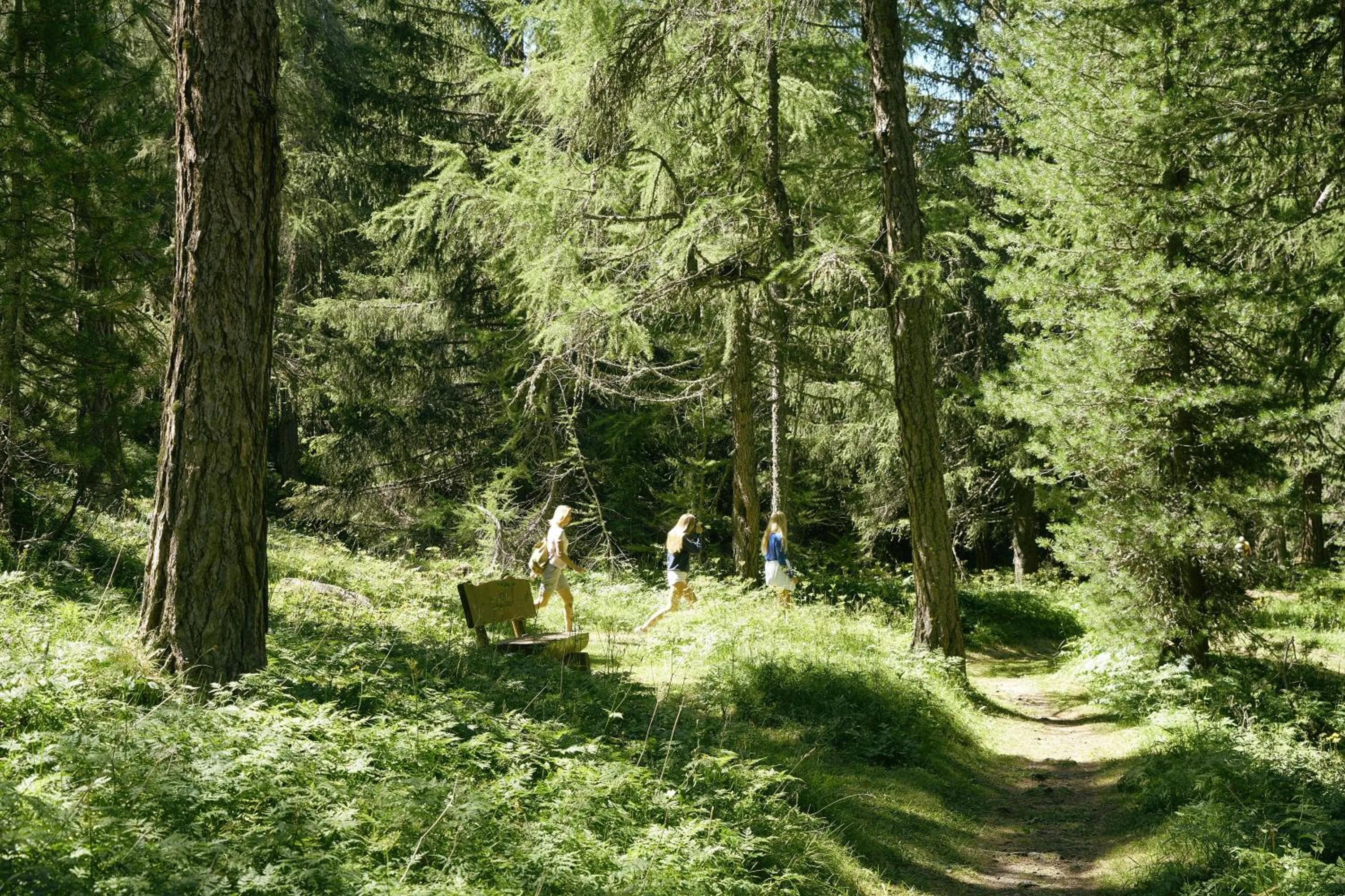 Hiking in Hotel Waldhaus Sils