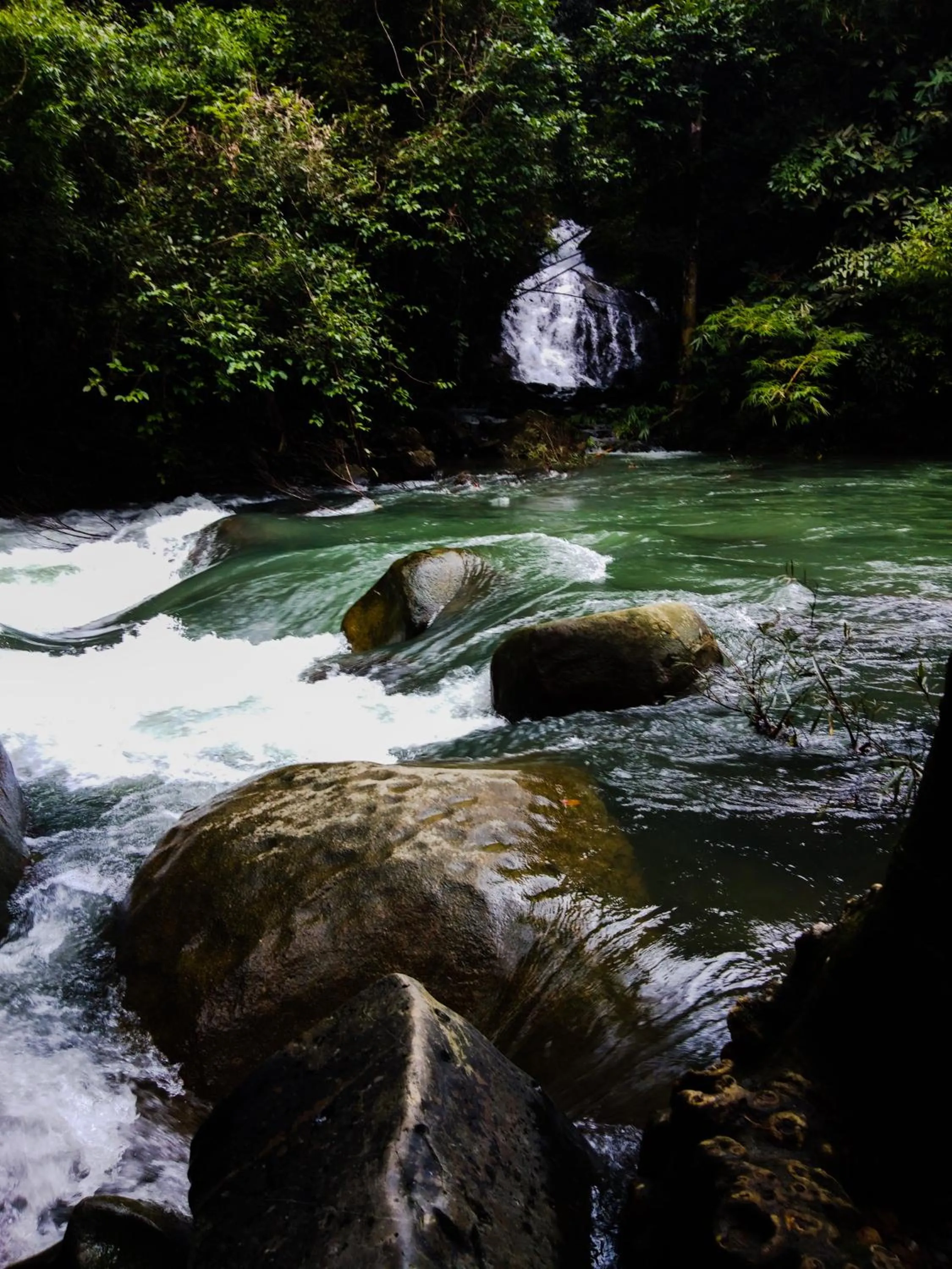 Khaosok Island Resort