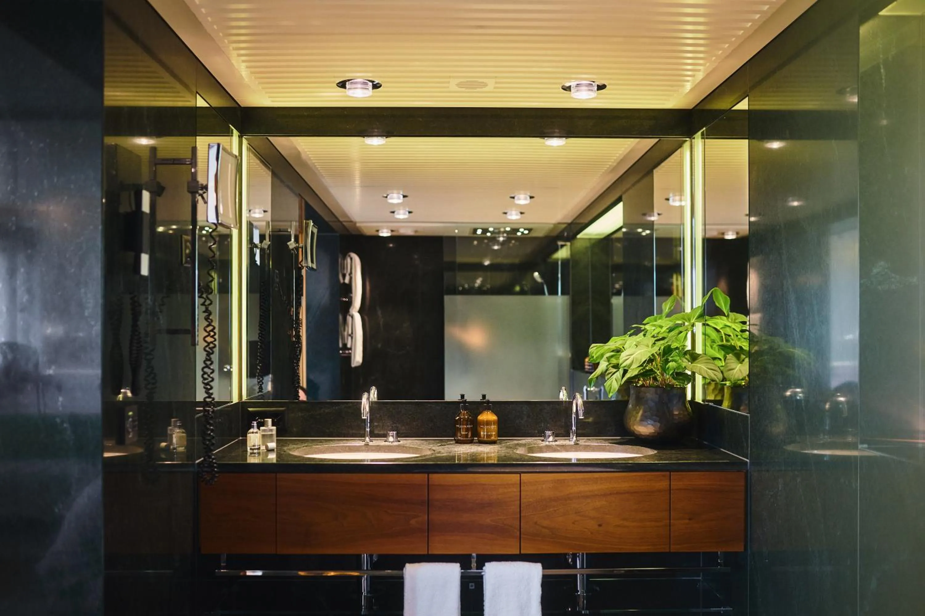 Bathroom in Widder Hotel - Zurichs Luxury Hideaway