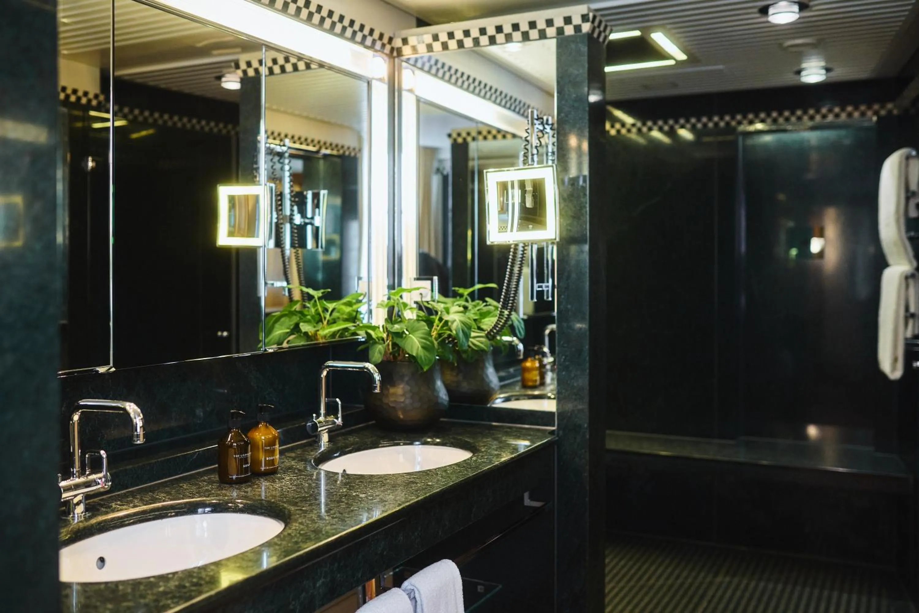 Widder Hotel - Zurichs Luxury Hideaway