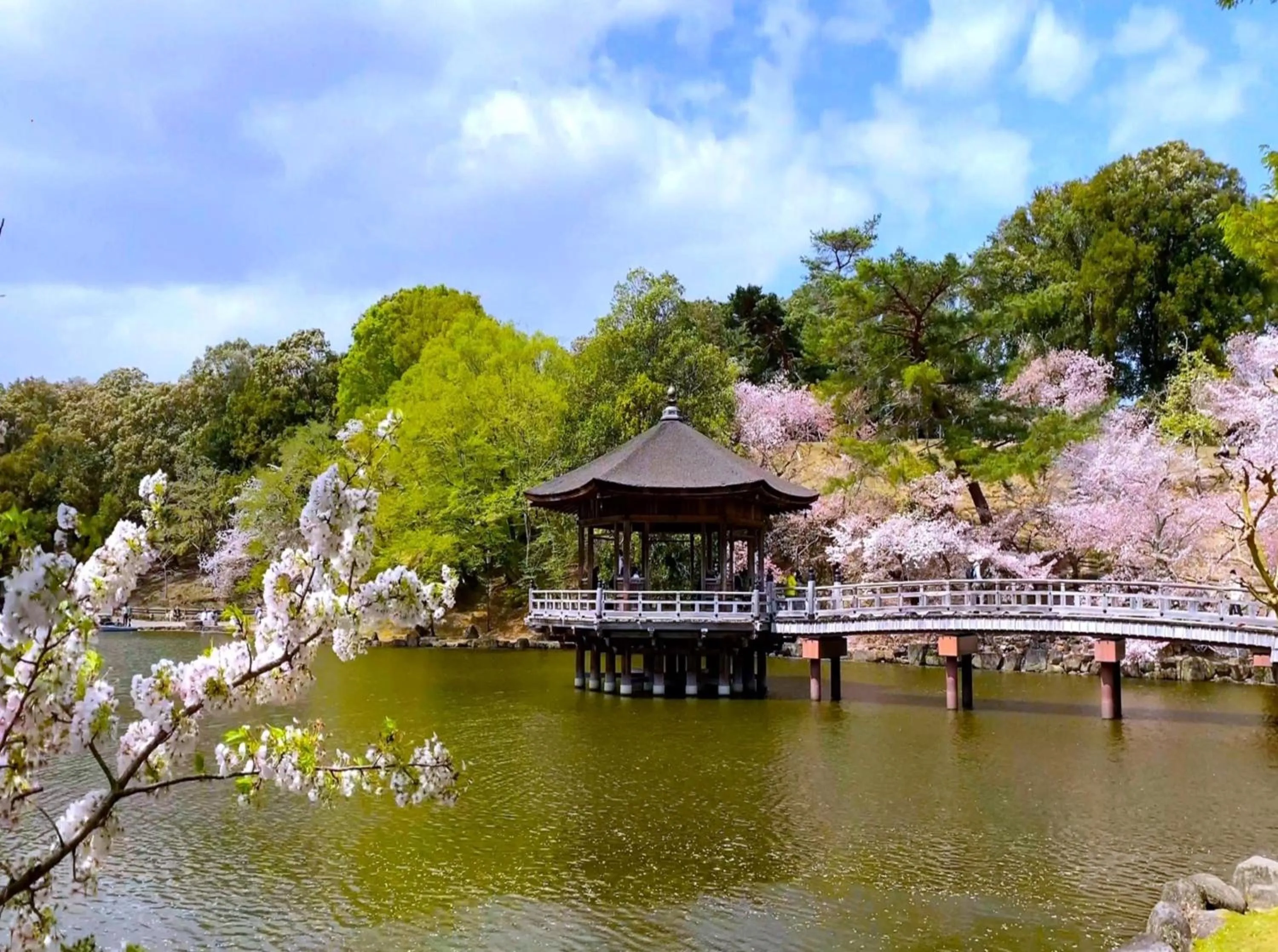 Nearby landmark in Henn na Hotel Premier Nara