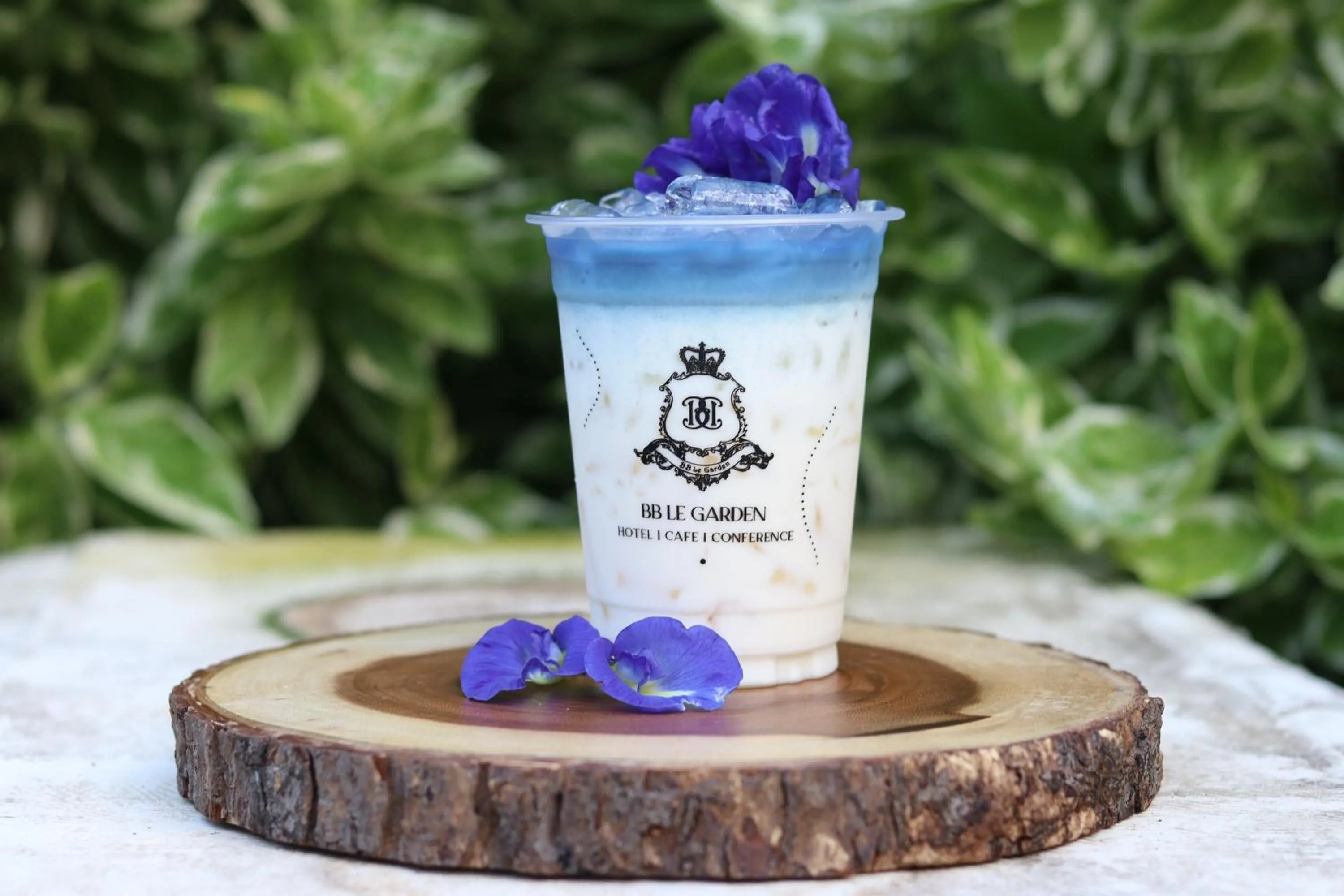 Drinks in BB Le Garden