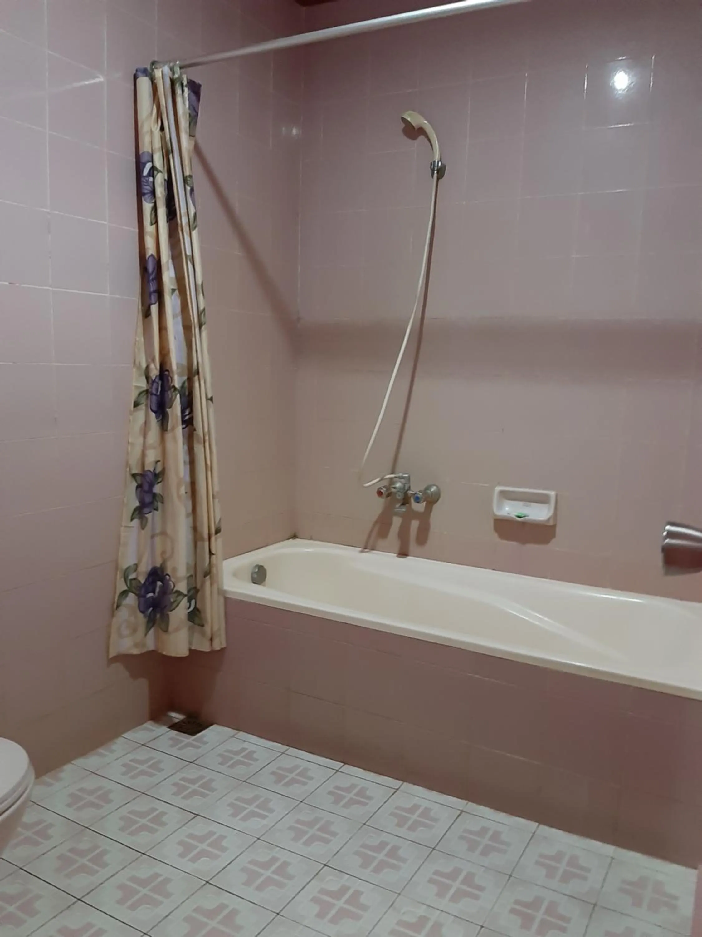 Bathroom in Hotel Parewisata