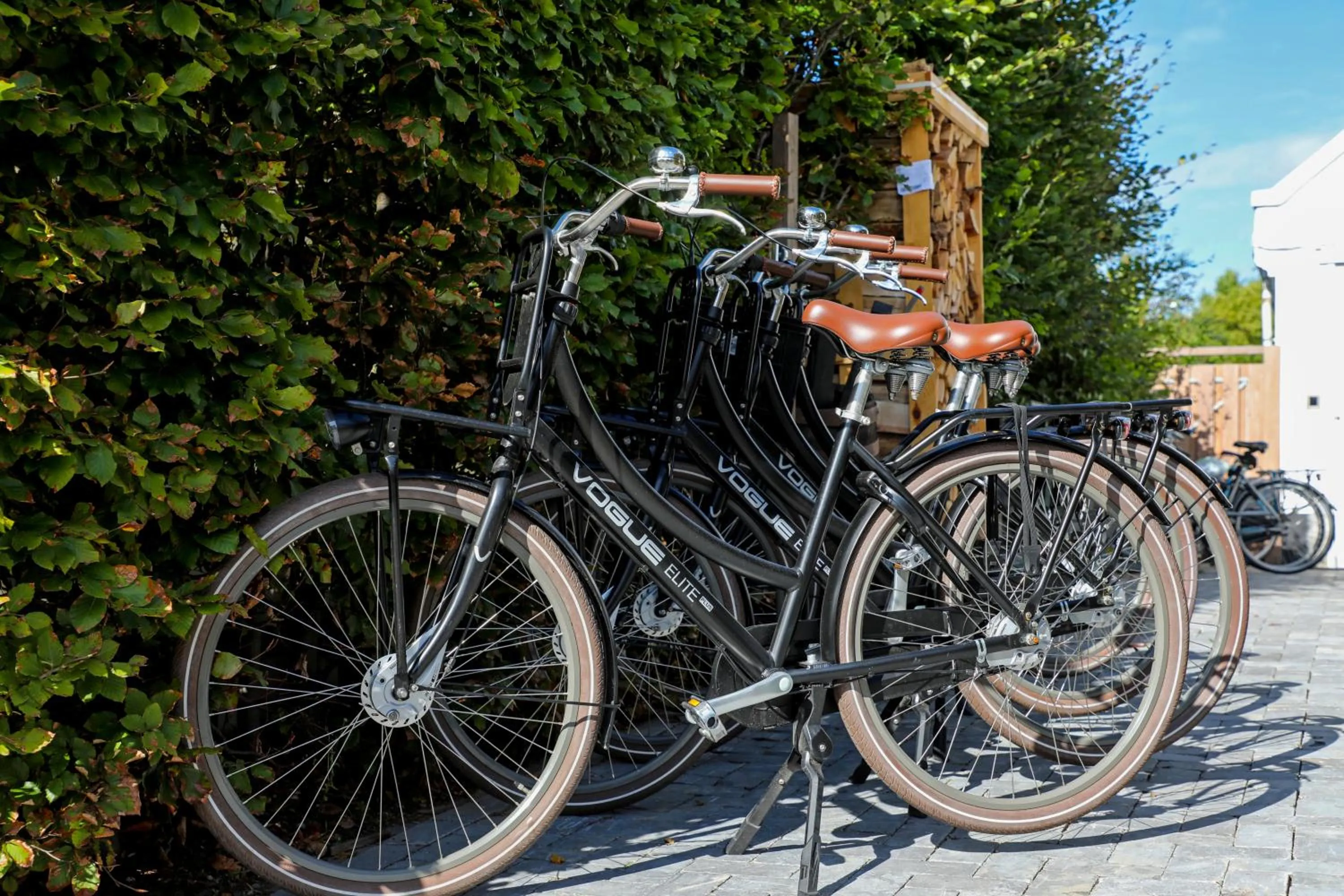 Cycling in Valerius Boutique Hotel