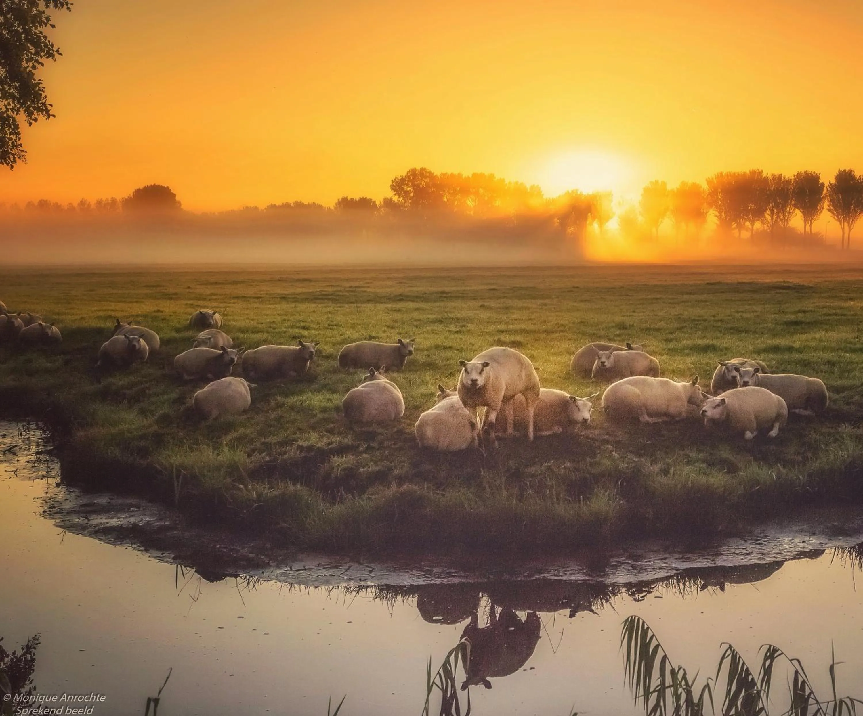 Natural landscape in Valerius Boutique Hotel
