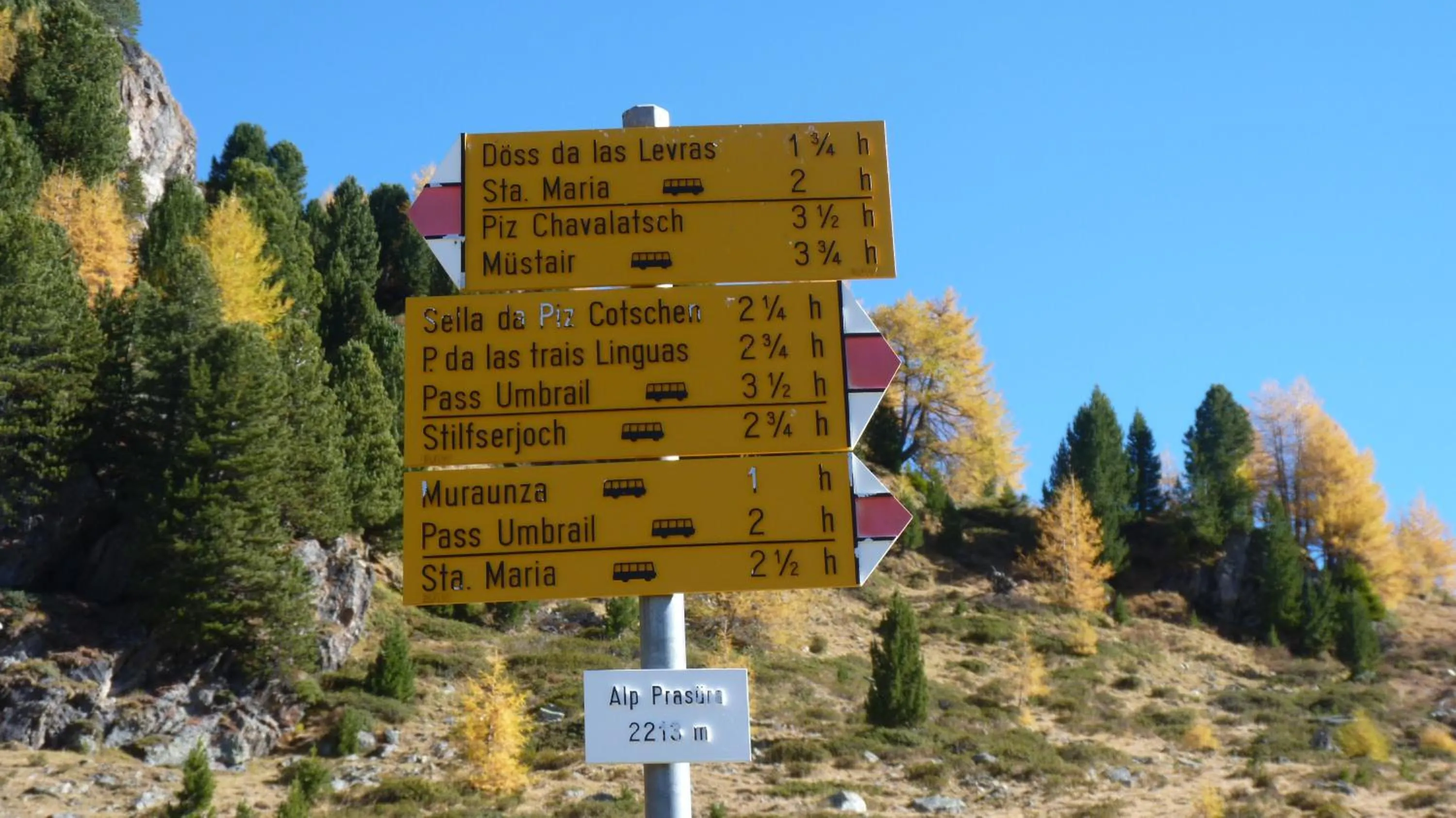 Activities in B&B Villa Stelvio