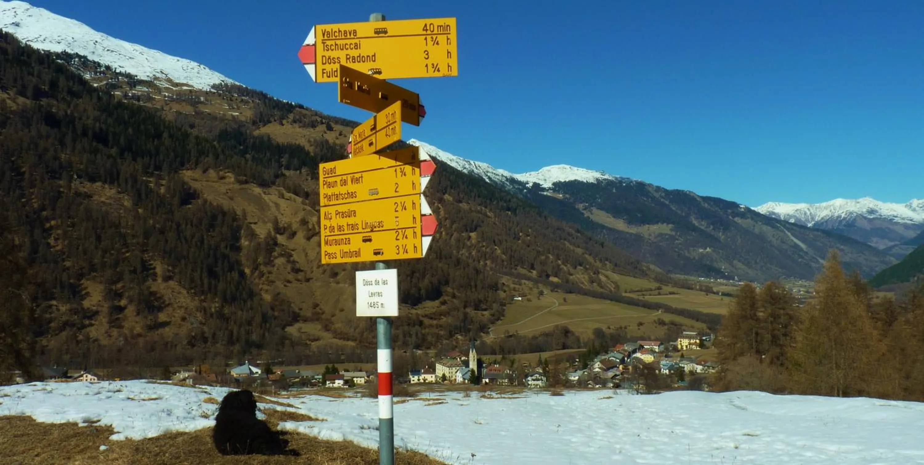 Other in B&B Villa Stelvio