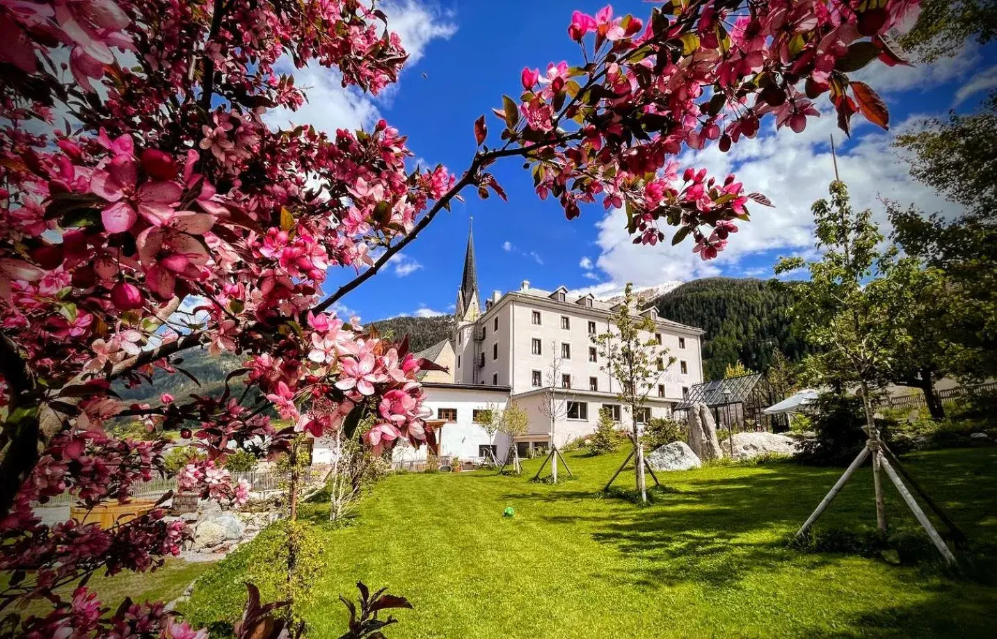 B&B Villa Stelvio B&B Villa Stelvio