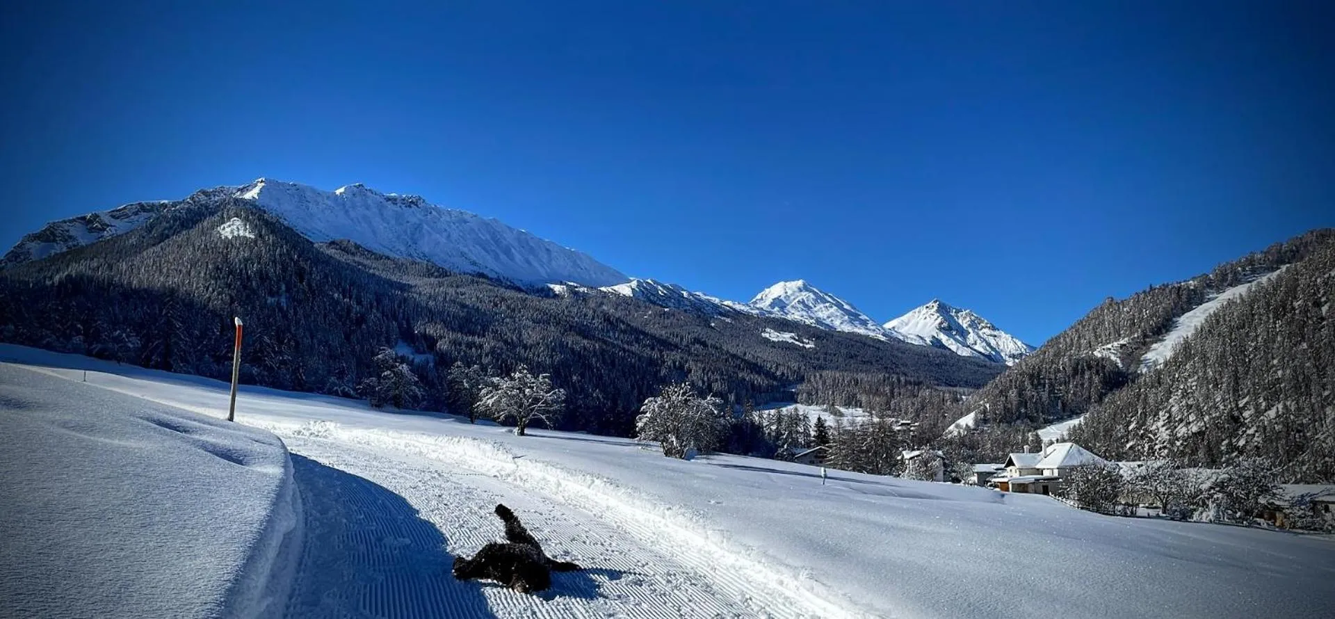 Area and facilities in B&B Villa Stelvio