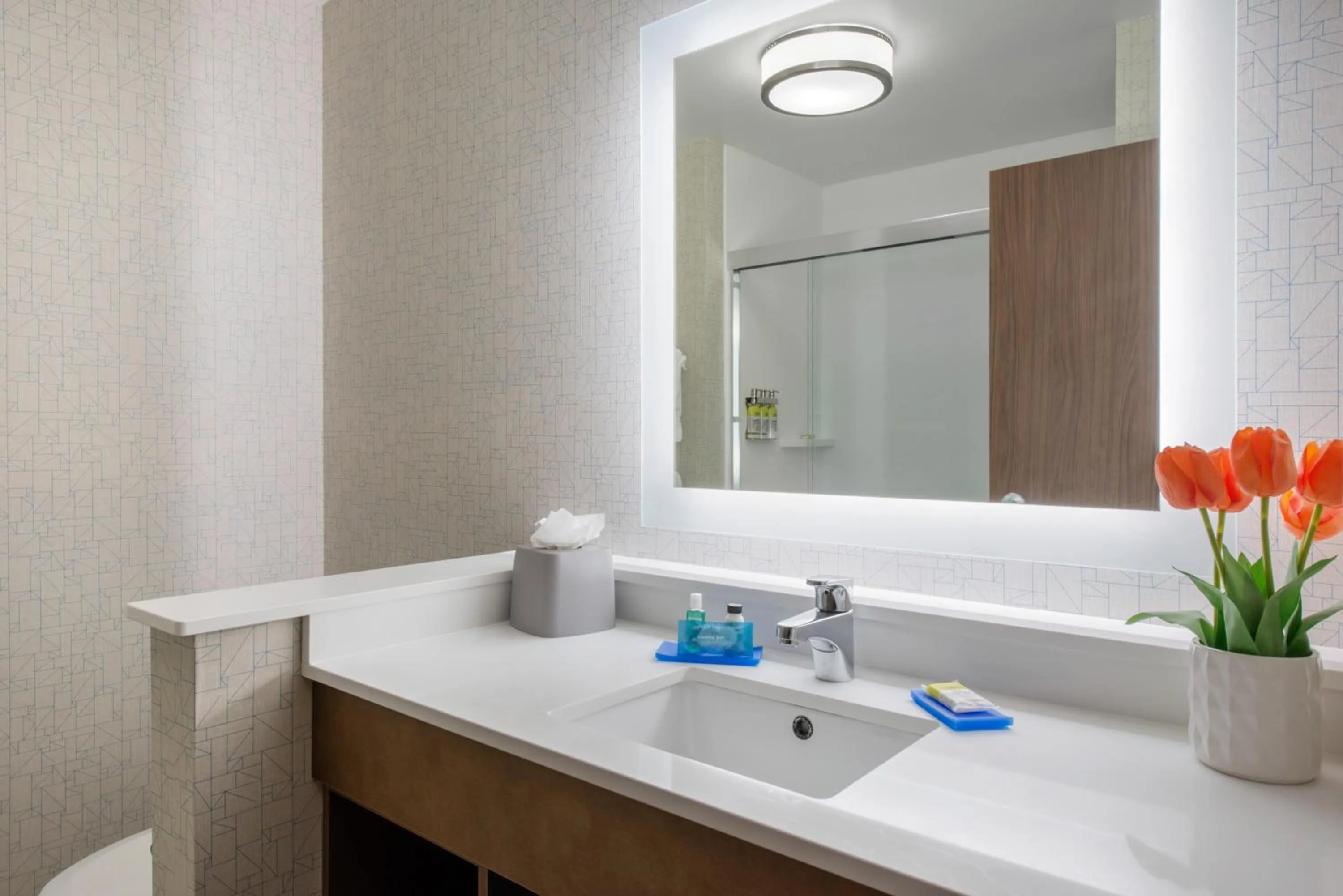 Toilet in Holiday Inn Express & Suites - Moundsville by IHG