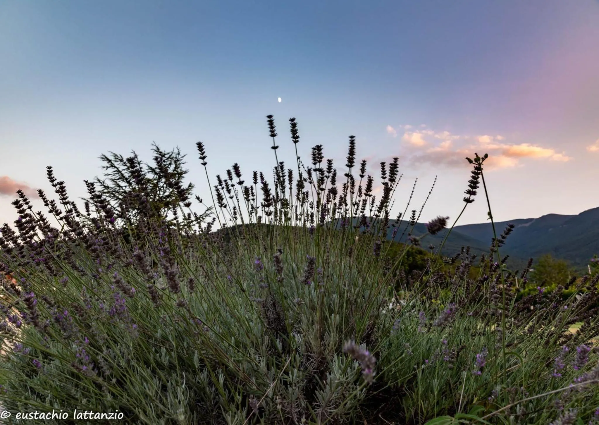 Villa Linda Bed And Breakfast