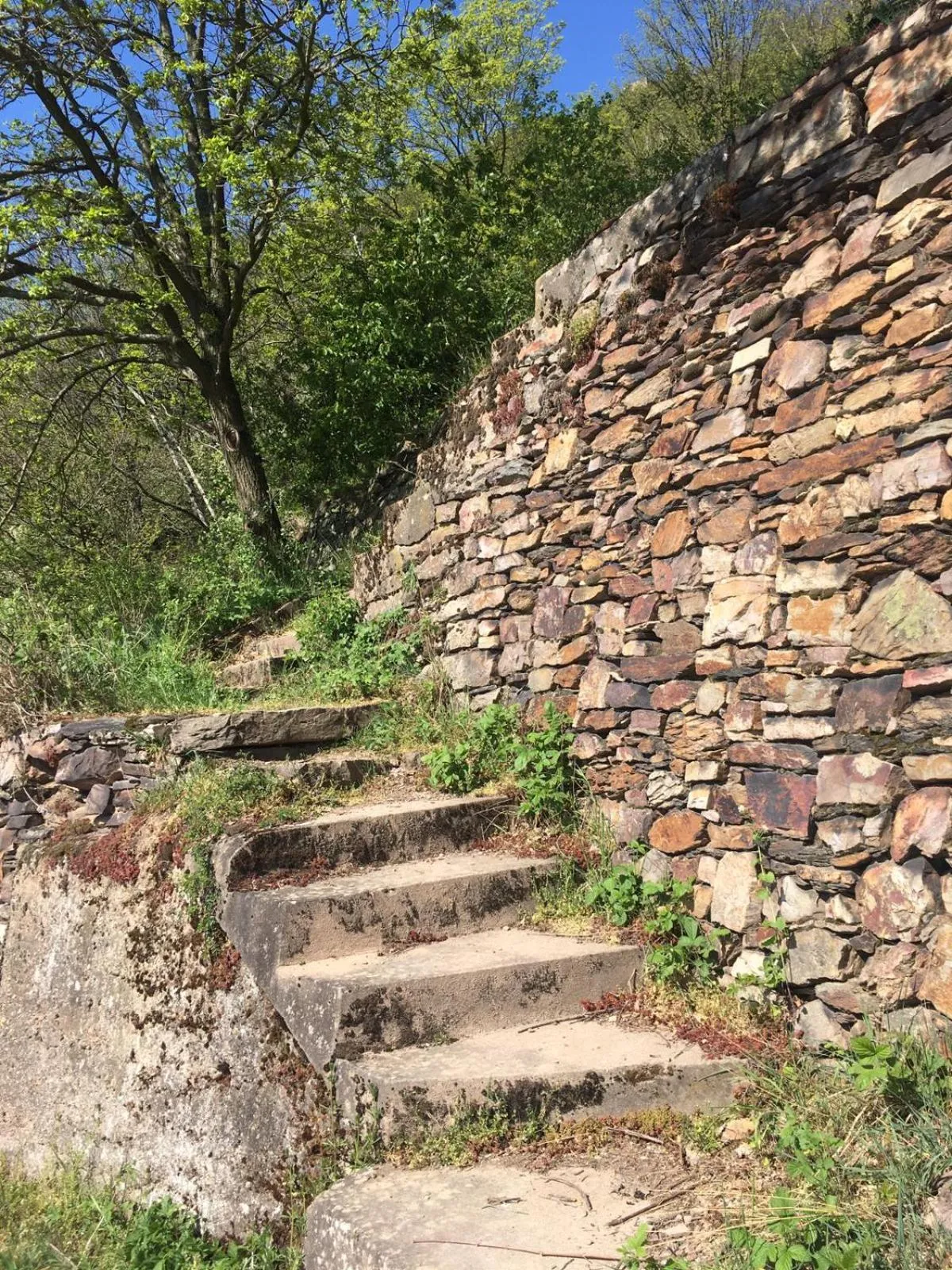 Natural landscape in Berg´s Backpacker