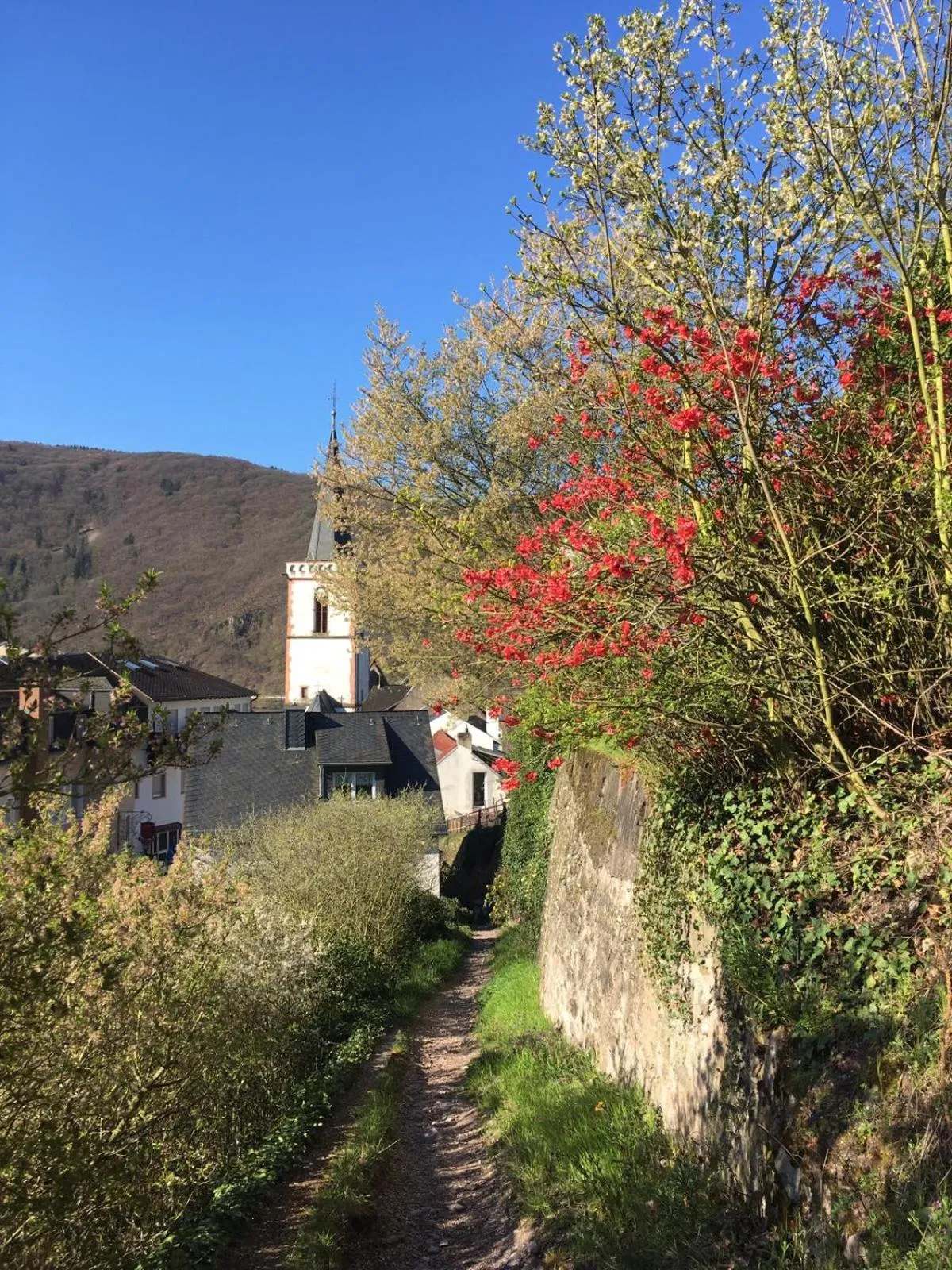 Natural landscape in Berg´s Backpacker