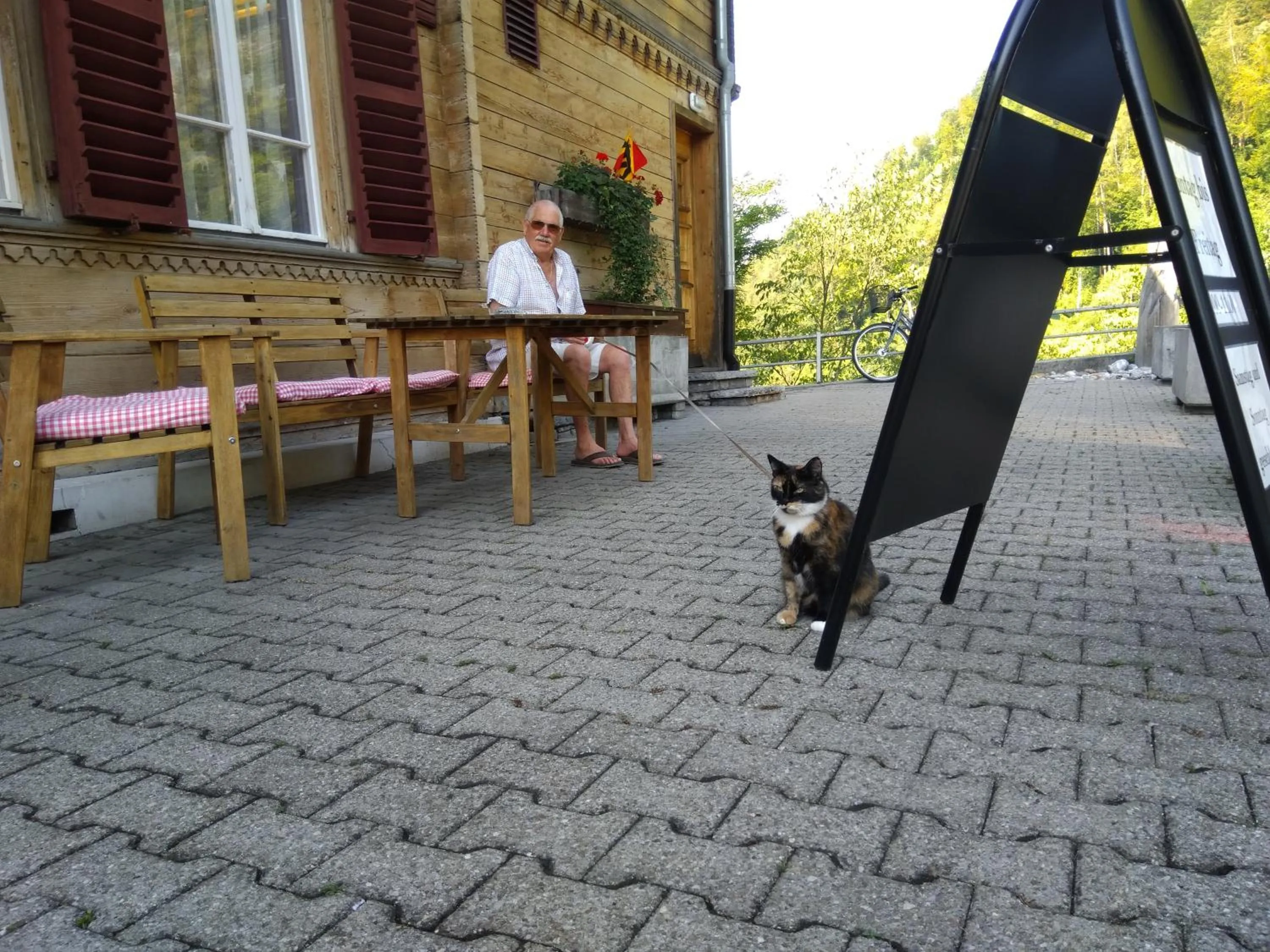 Pets in Gasthof Schoenegg B&B