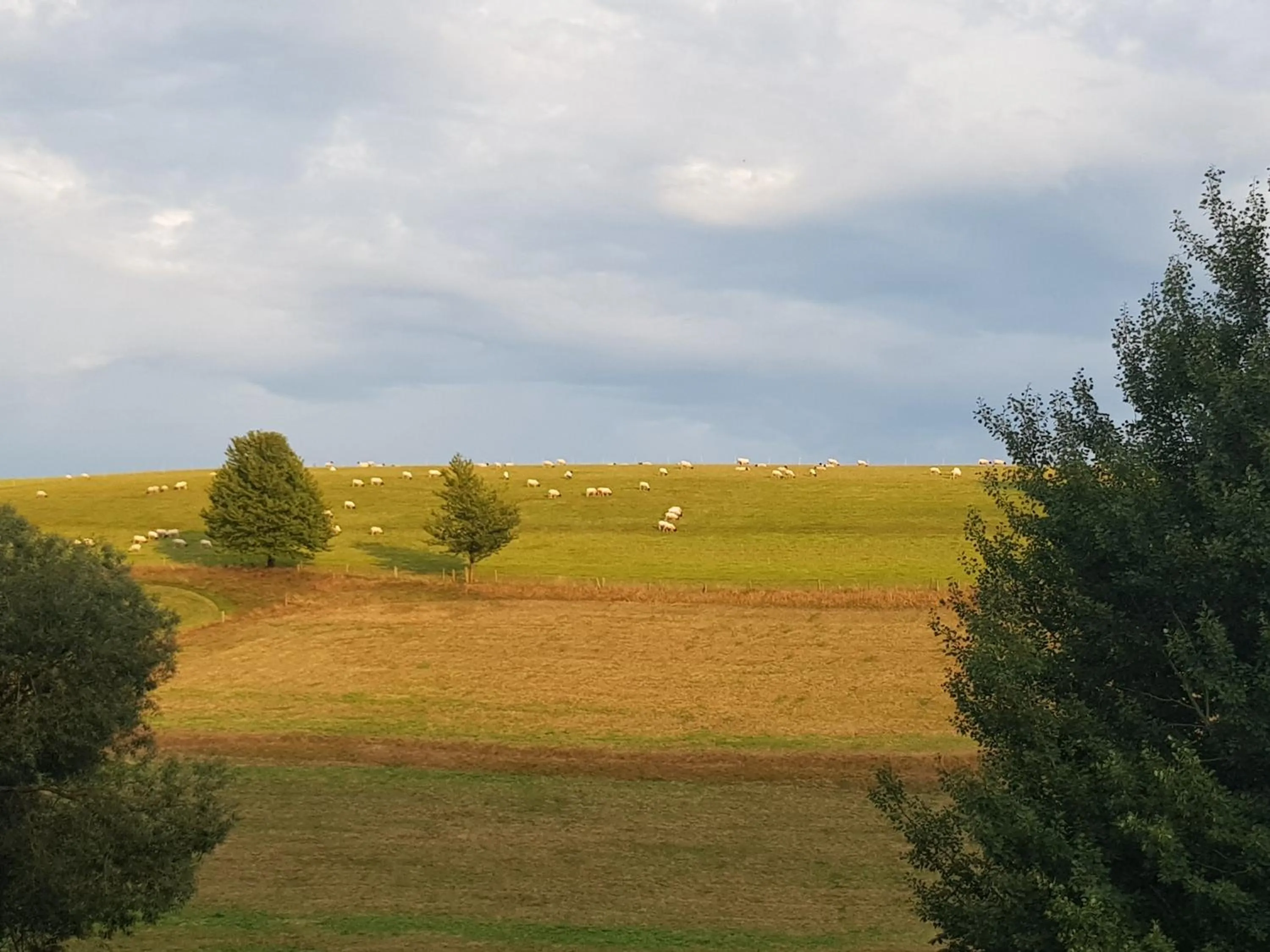 Mountain view in Gasthof & Pension Erlengrund