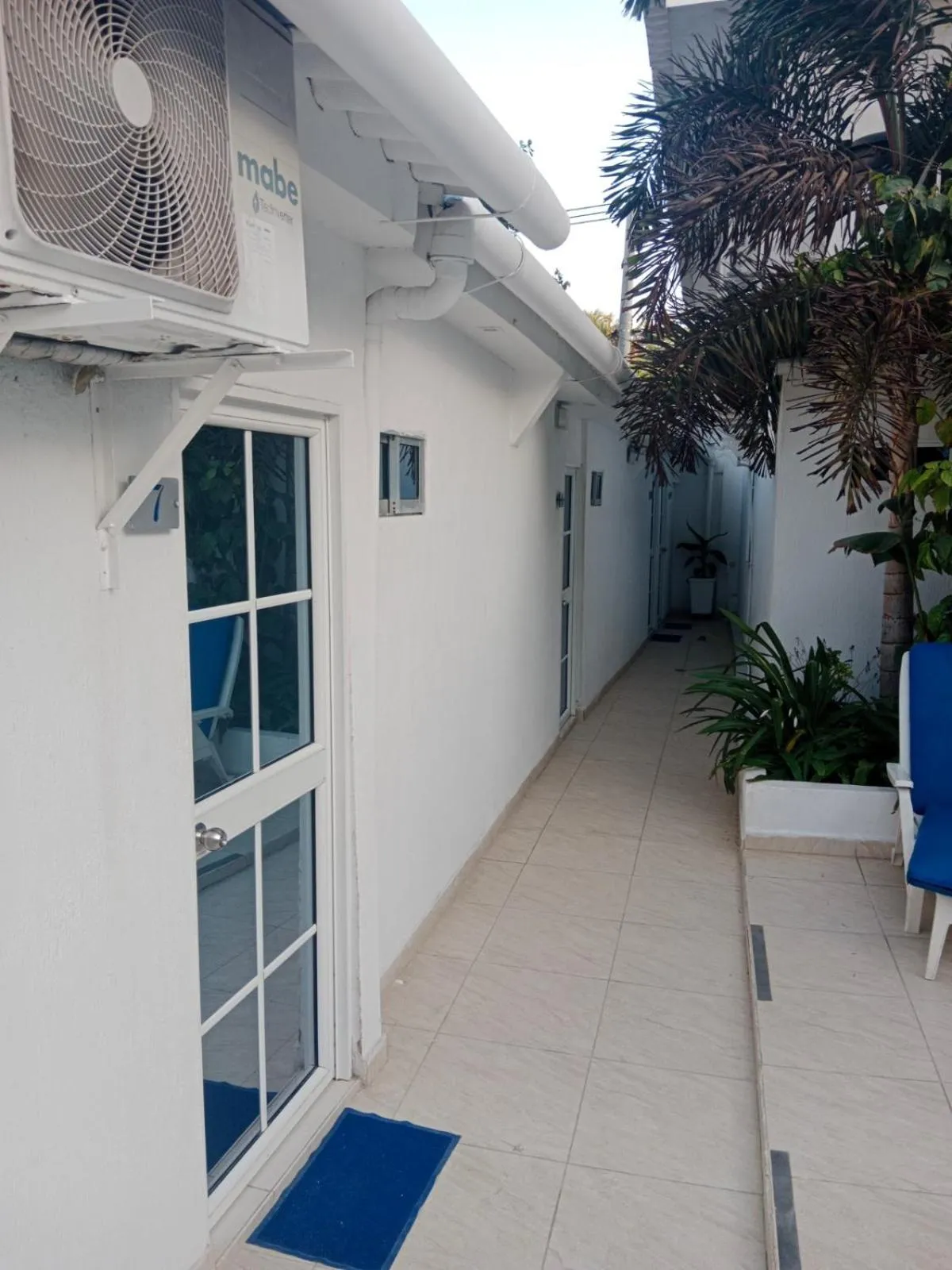 Garden in Mar de Indias House