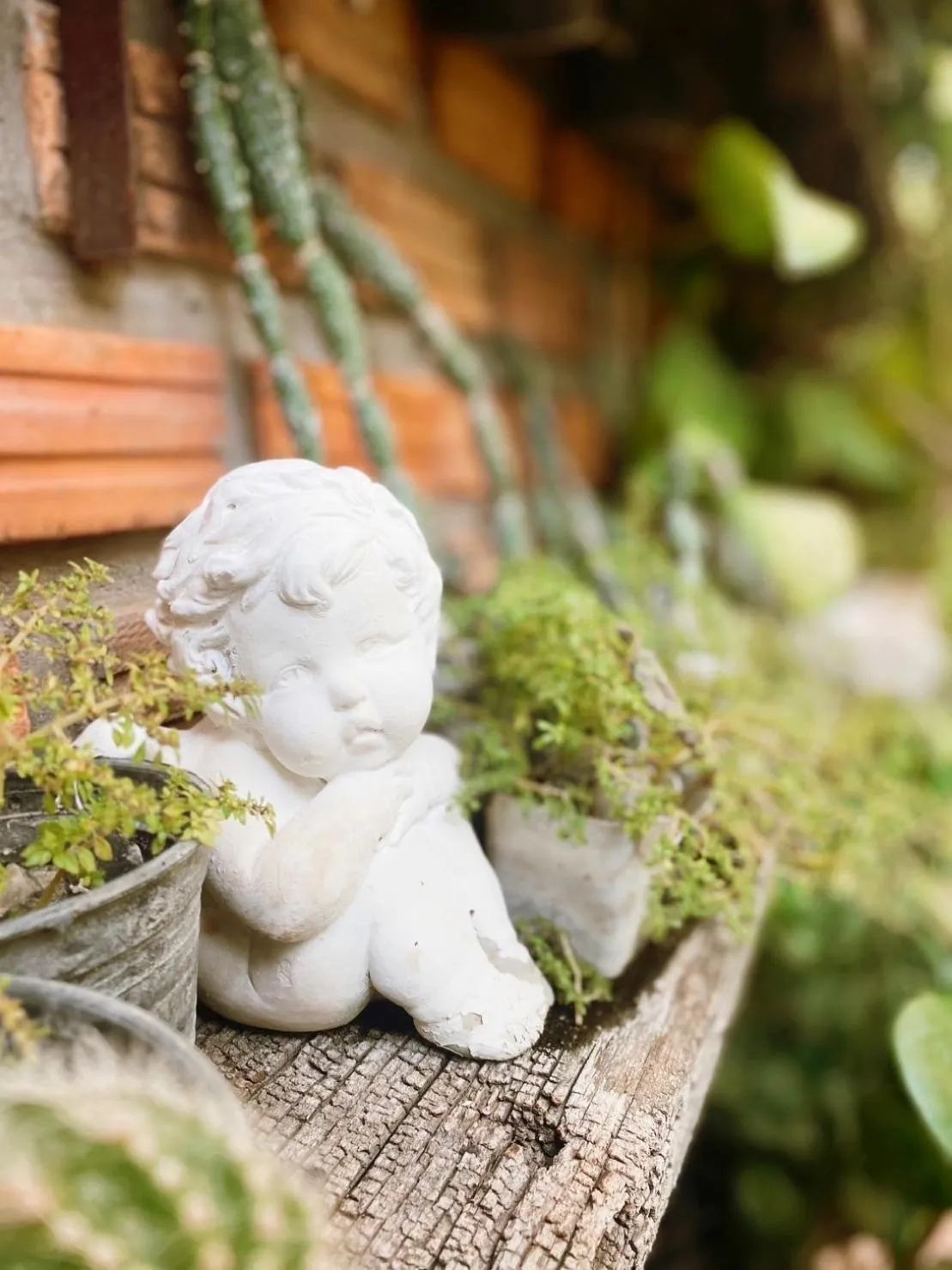 Garden in Hug Sakhonnakhon Hotel