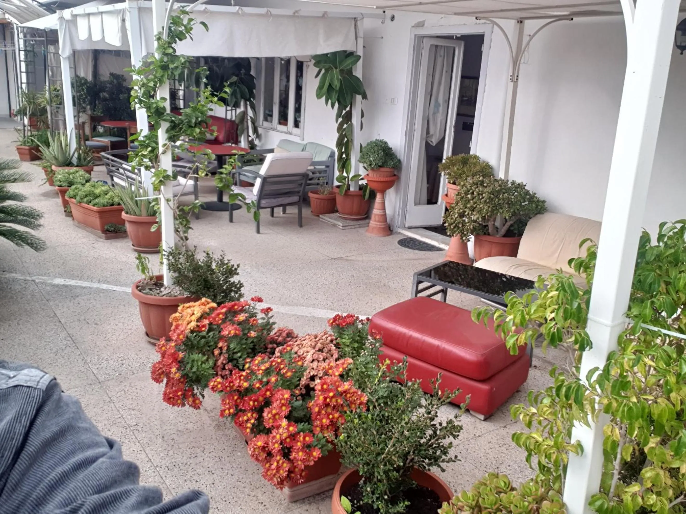 B&B GANAJ La terrazza di Ganaj BARI