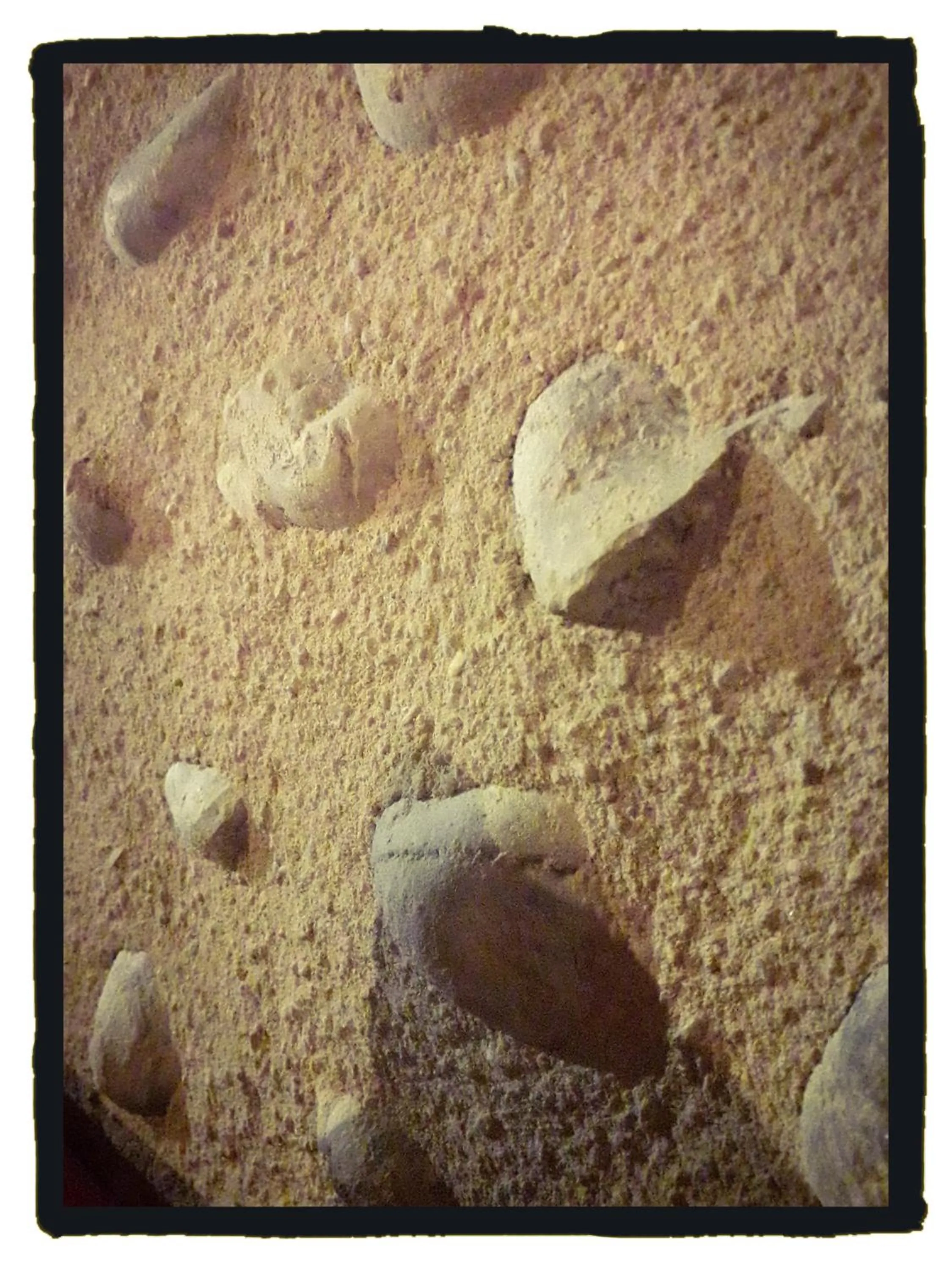 Other in Ecogite Rural La Cle des Champs