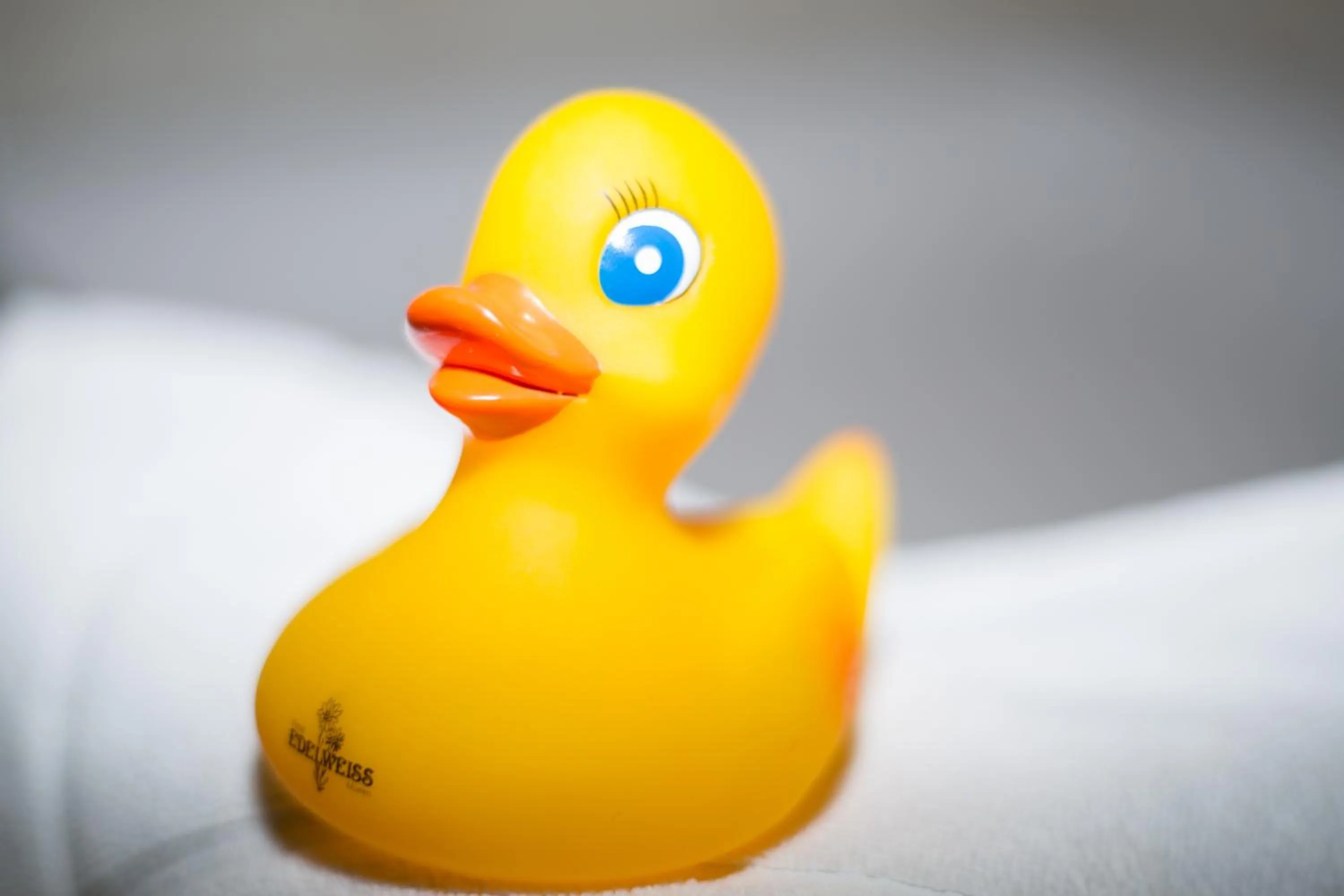 Other in Hotel Edelweiss Superior