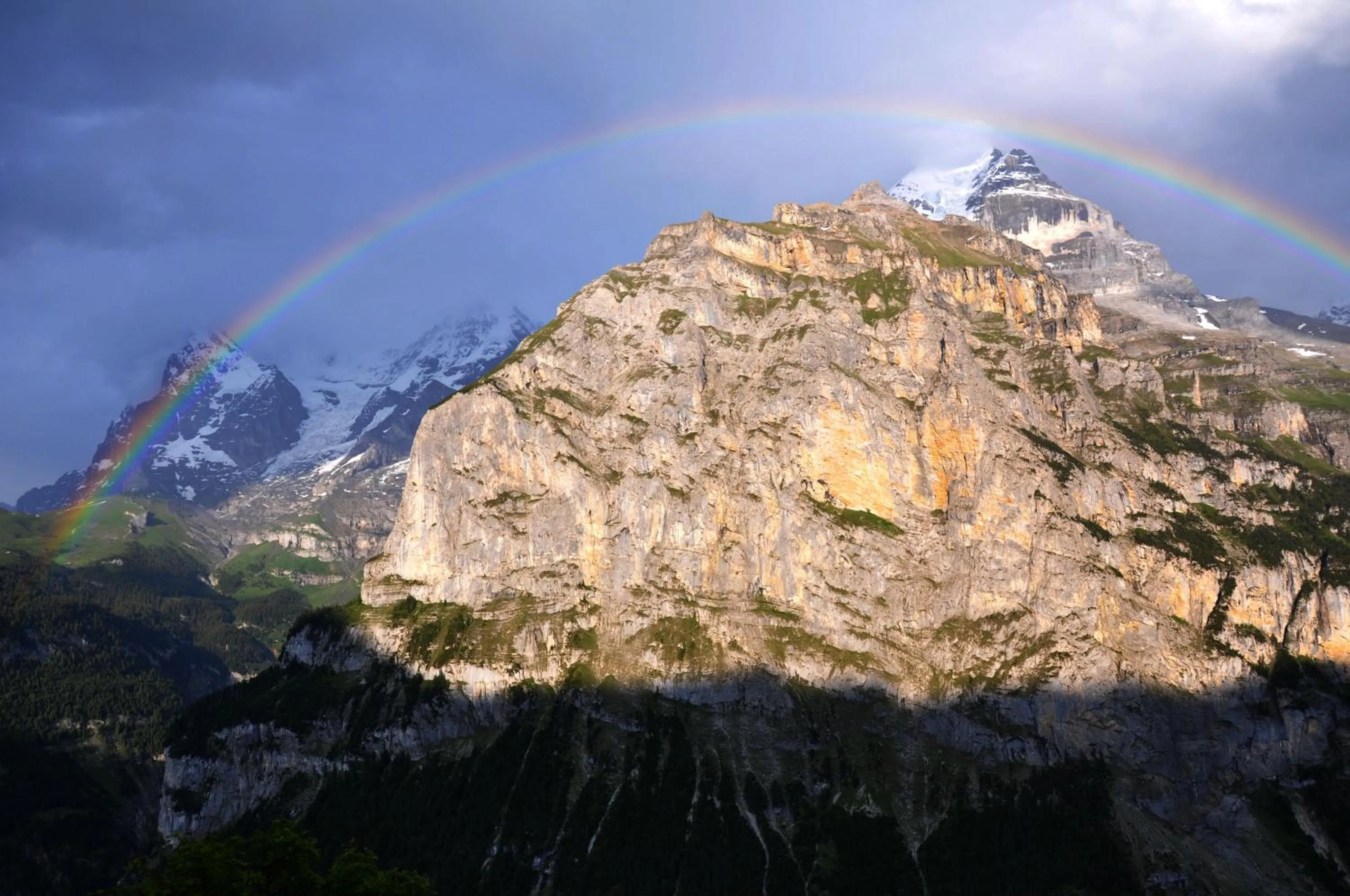 View (from property/room) in Hotel Edelweiss Superior