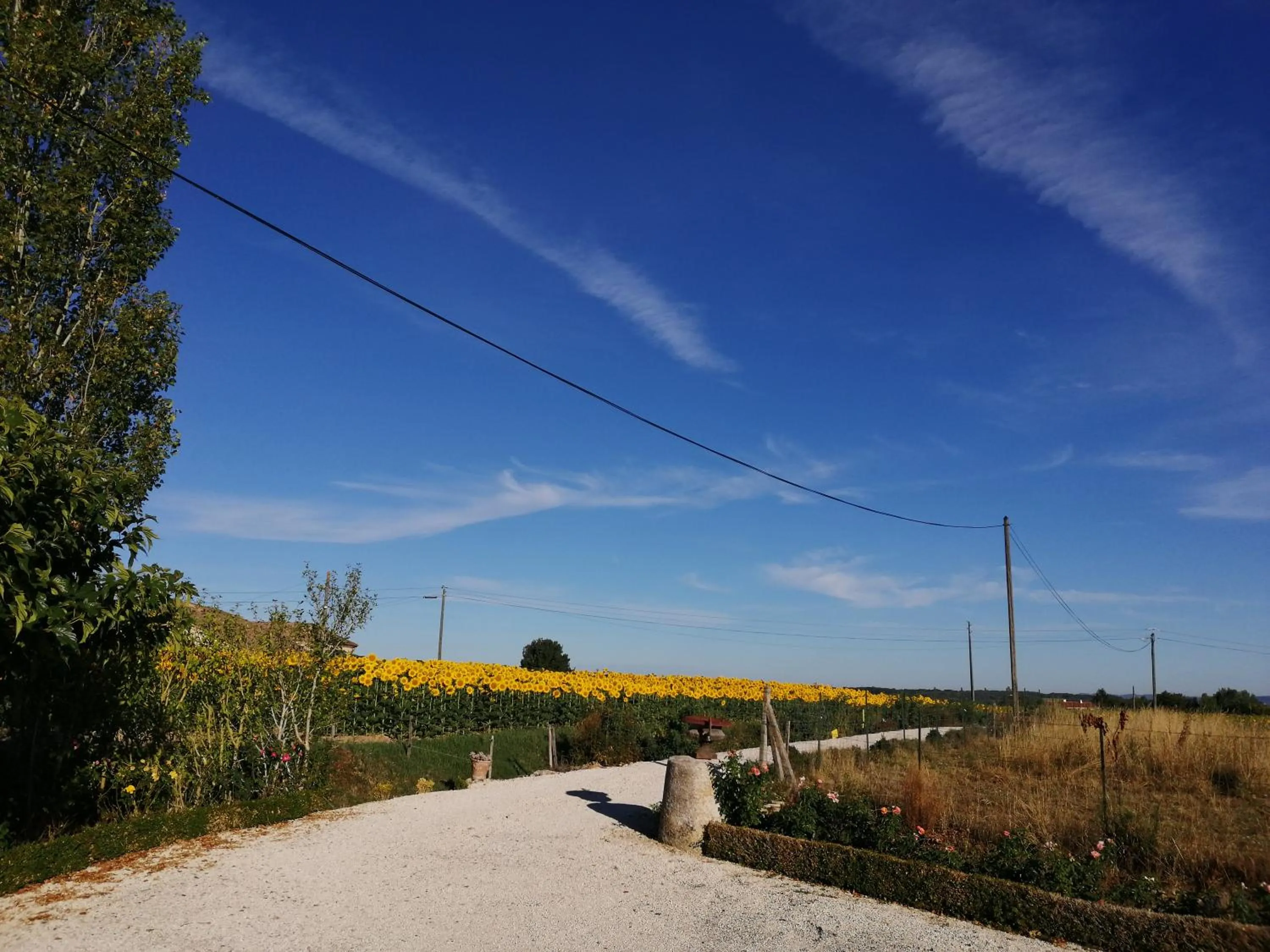 Street view in Chambres Rozies Dunes