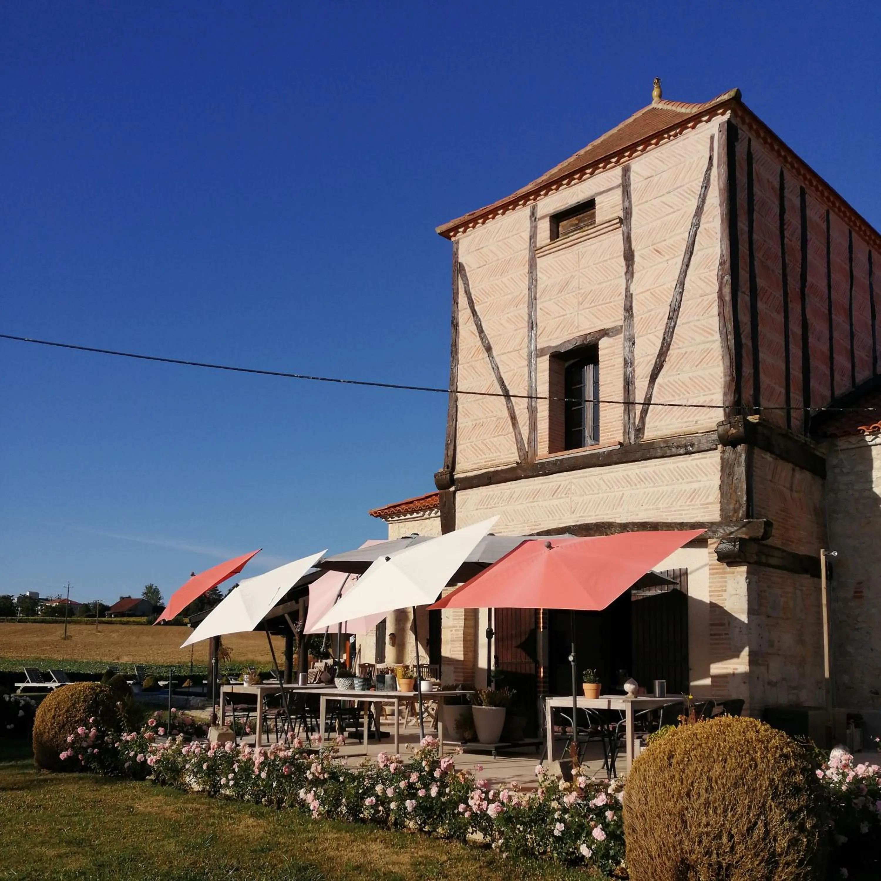 Balcony/Terrace in Chambres Rozies Dunes