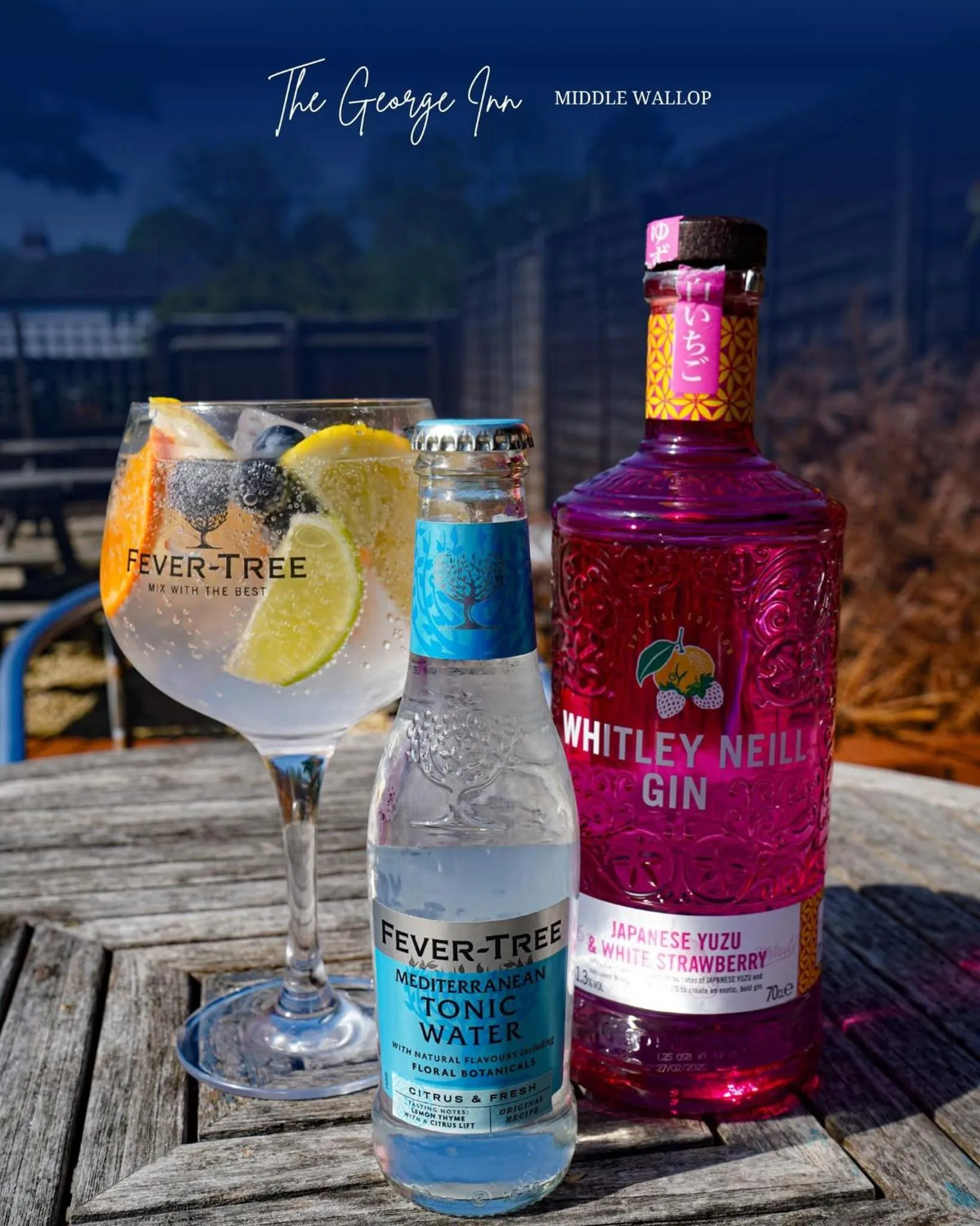 The George Inn Middle Wallop