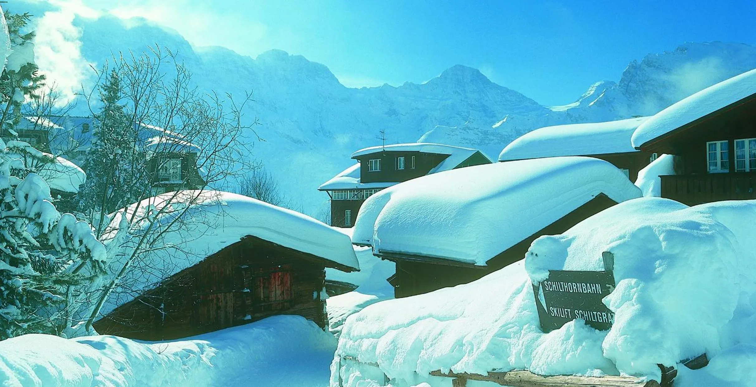 Natural landscape in Hotel Blumental