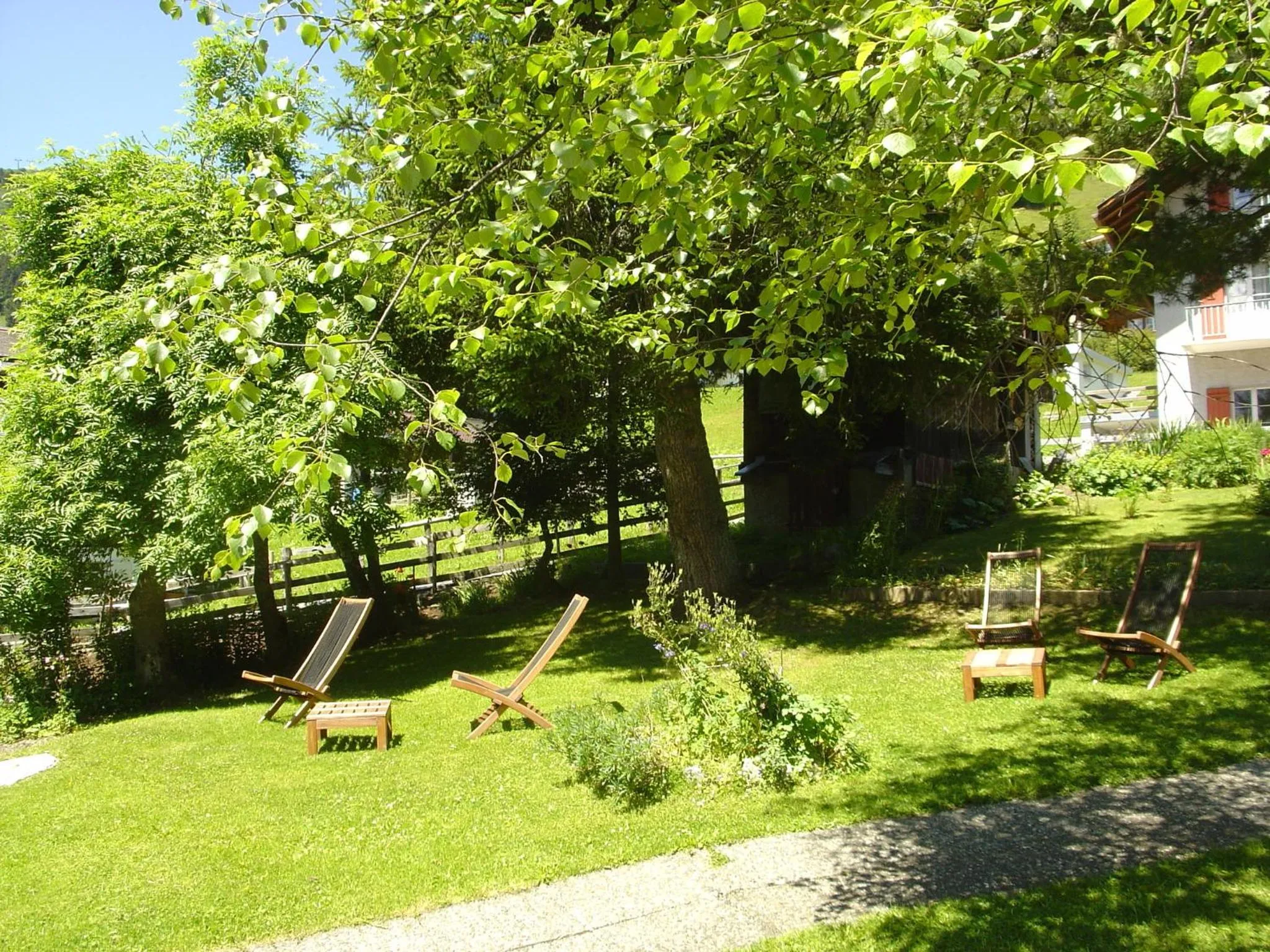 Garden in Hotel Blumental