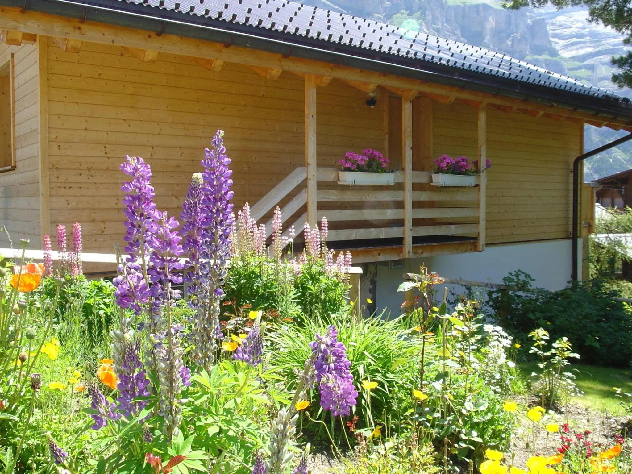 Garden in Hotel Blumental