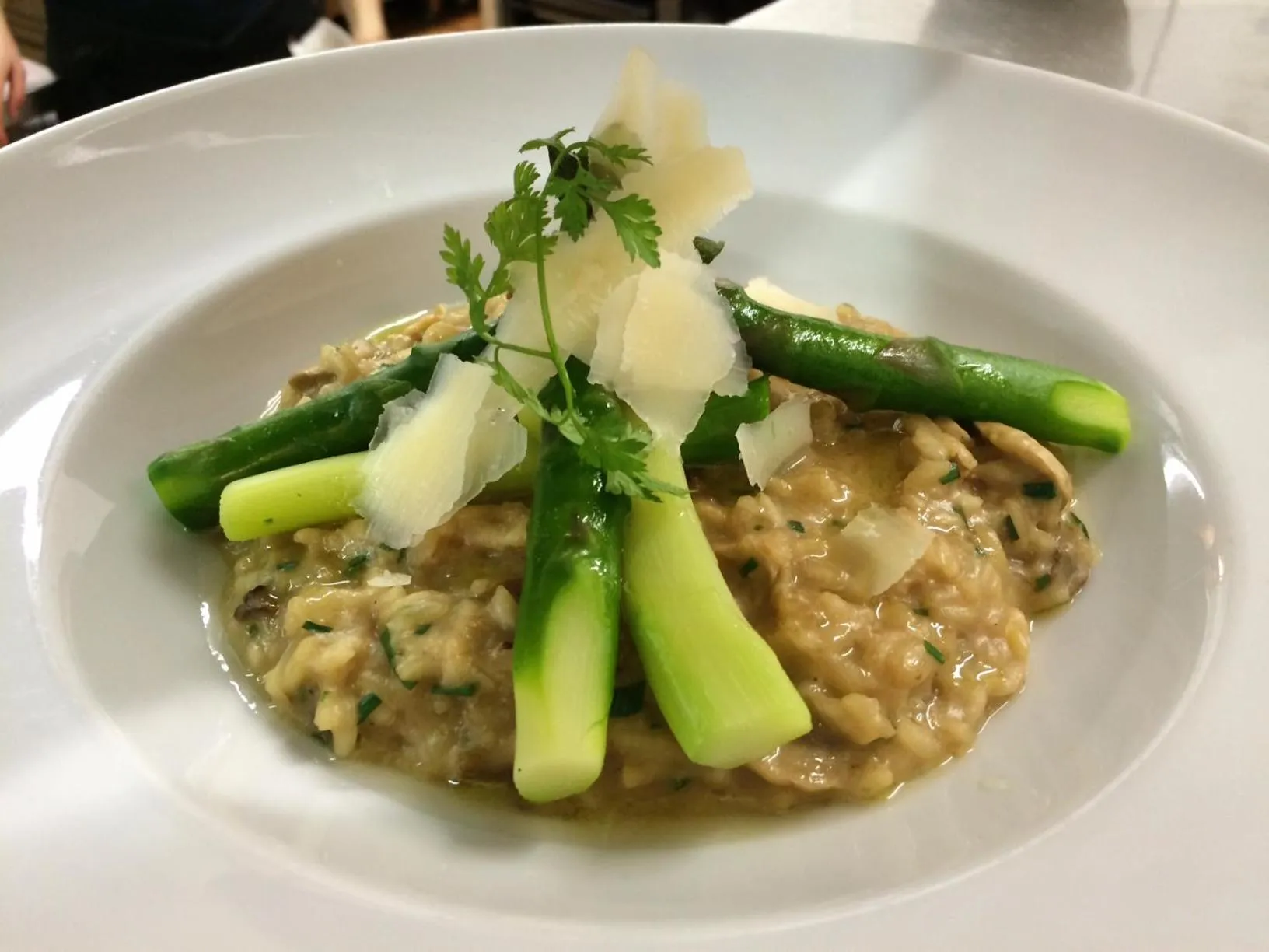 Restaurant/places to eat in Hotel Gloria