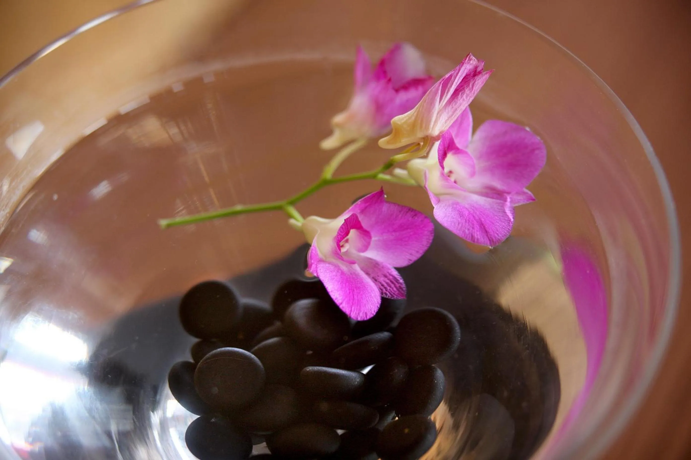 Other in Hotel Gloria