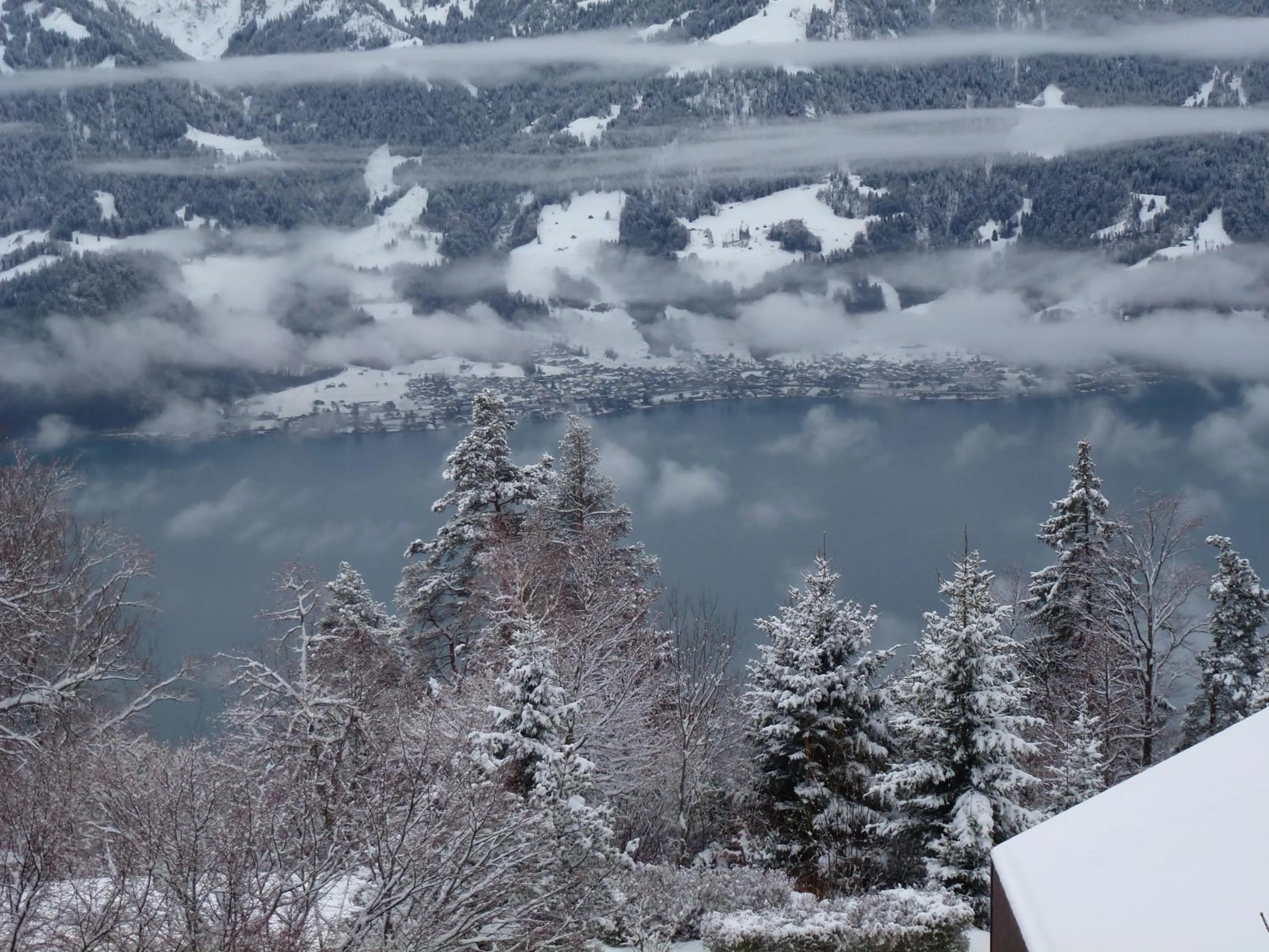 Area and facilities in Hotel Gloria