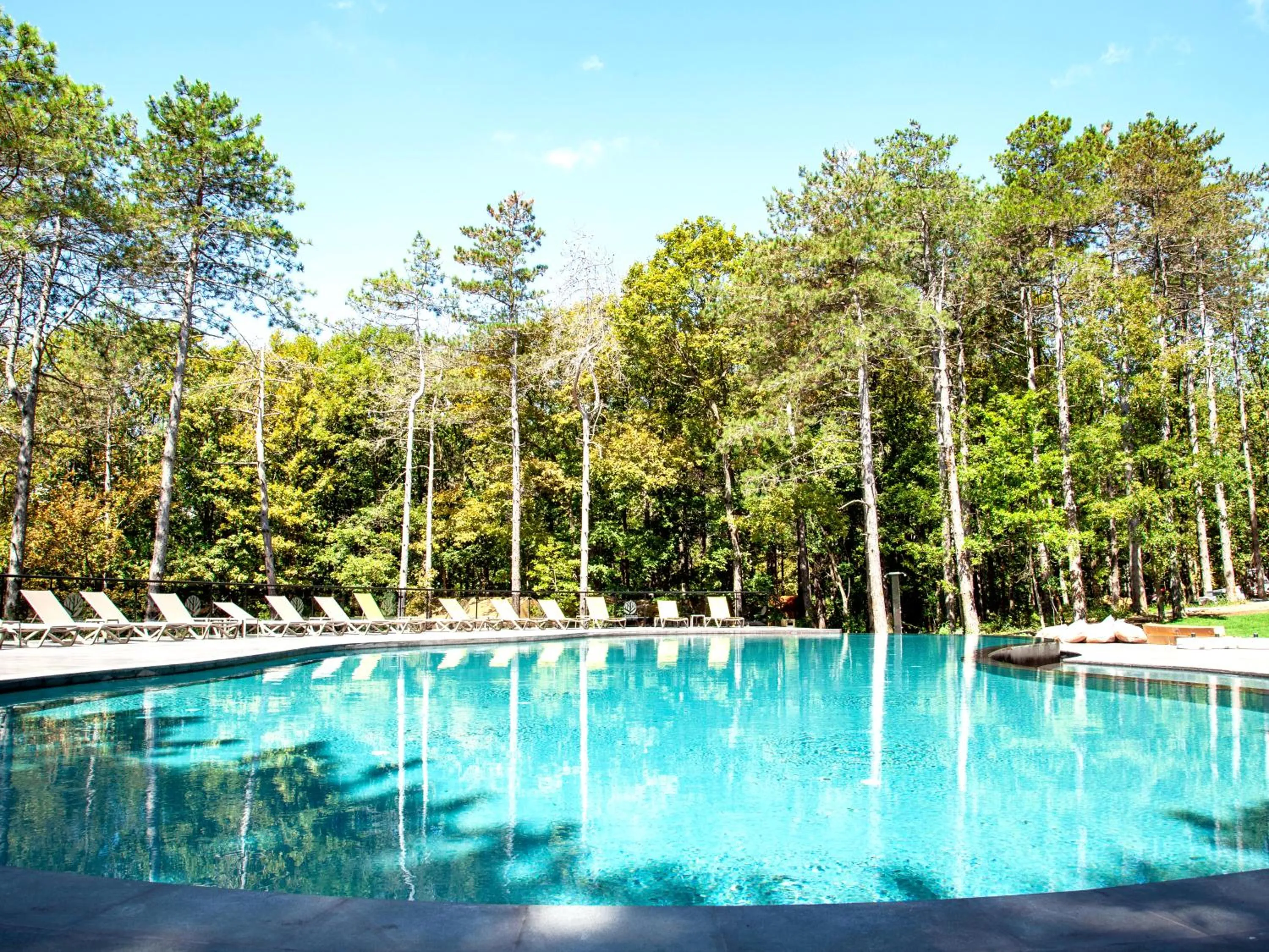 Swimming pool in LONGOSPHERE GLAMPING