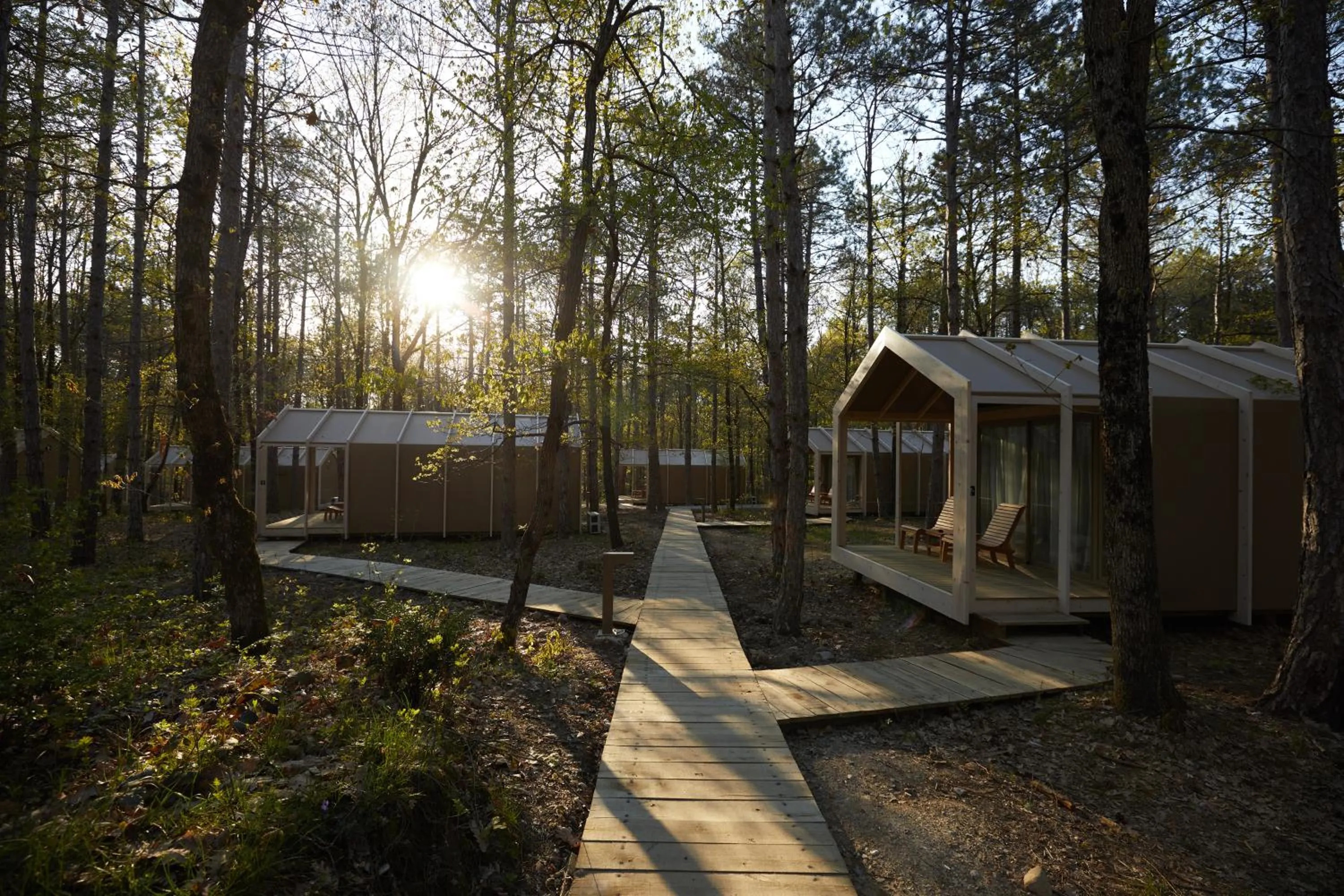 Photo of the whole room in LONGOSPHERE GLAMPING