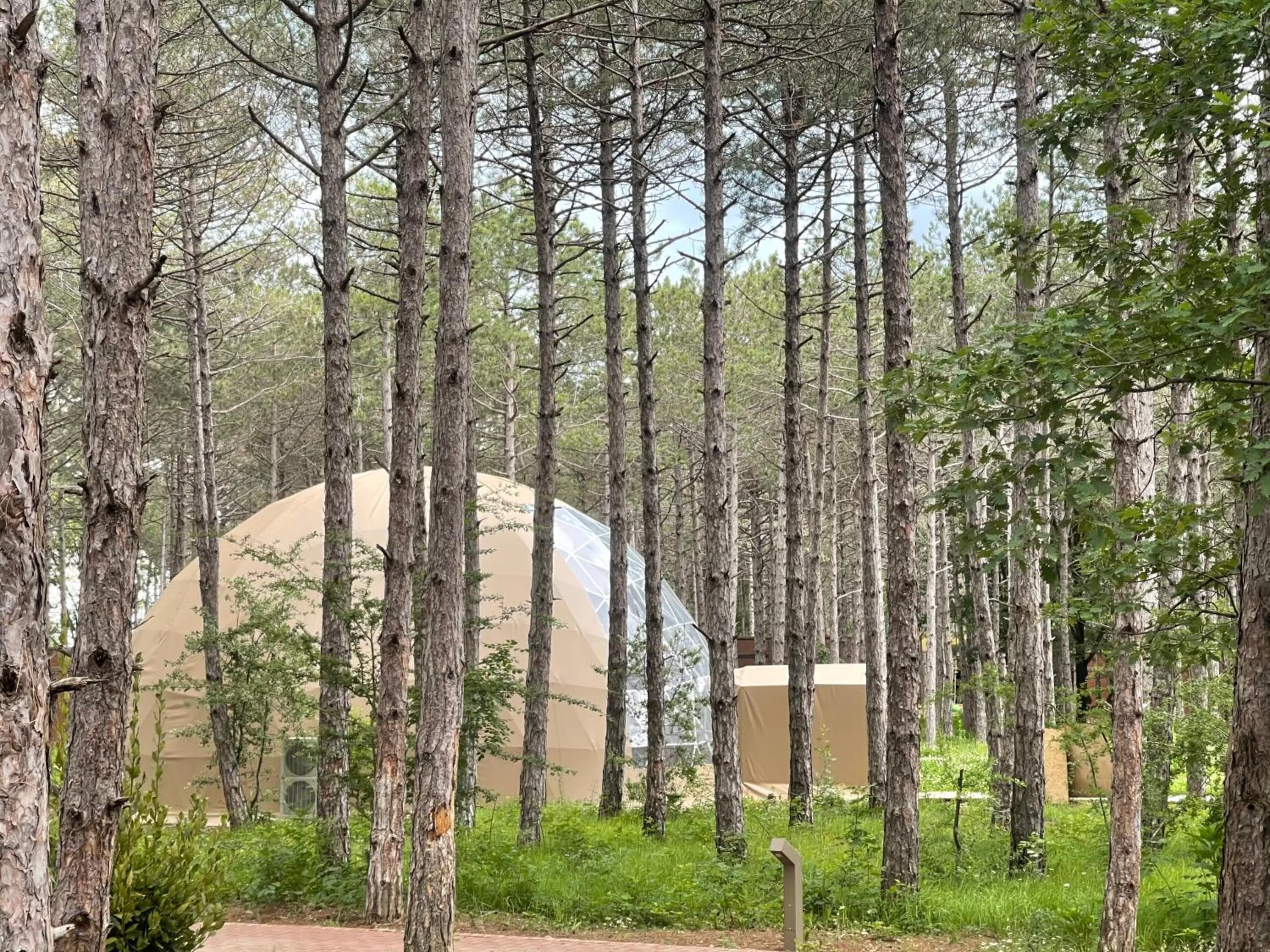 Sports in LONGOSPHERE GLAMPING