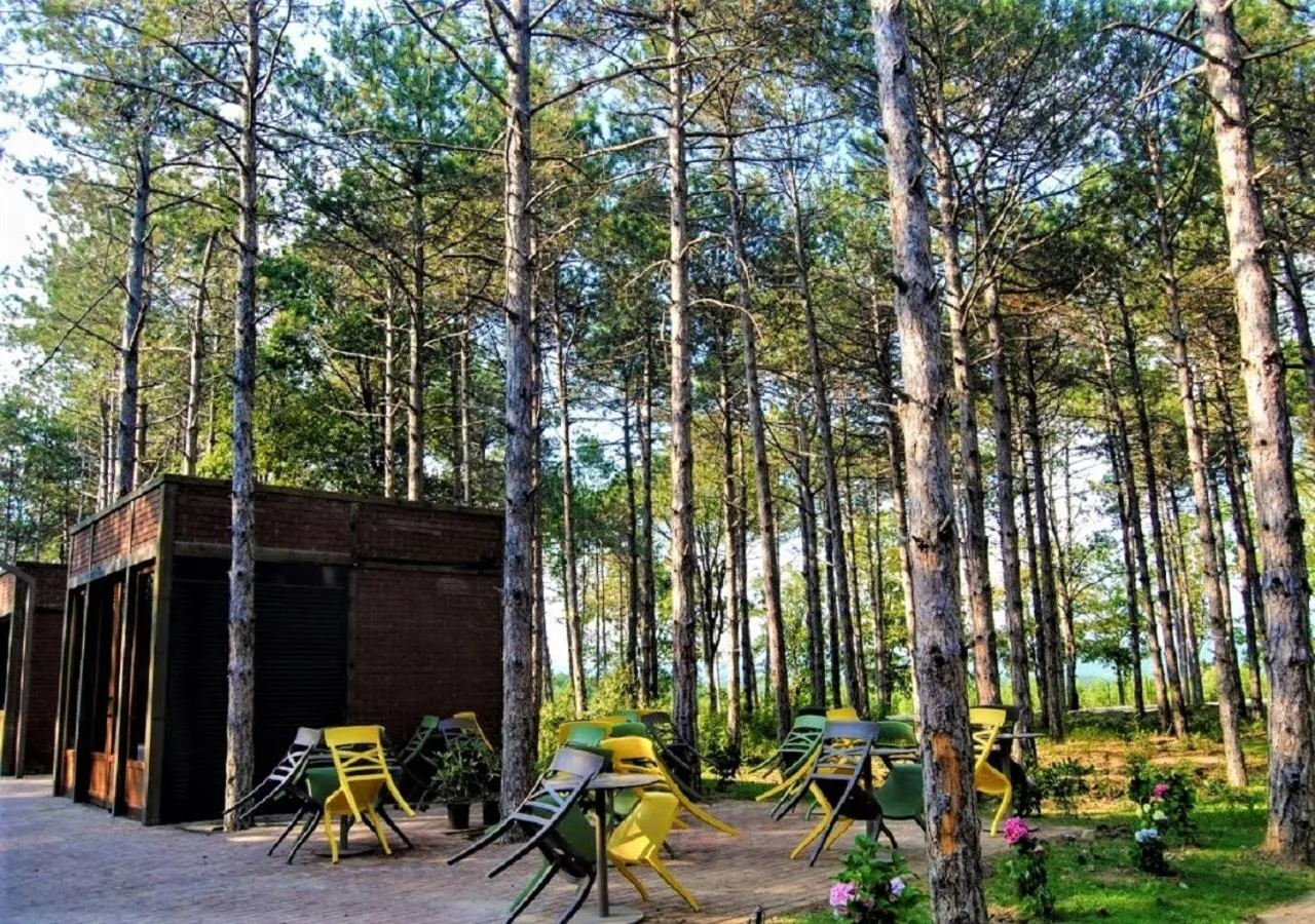 Restaurant/places to eat in LONGOSPHERE GLAMPING