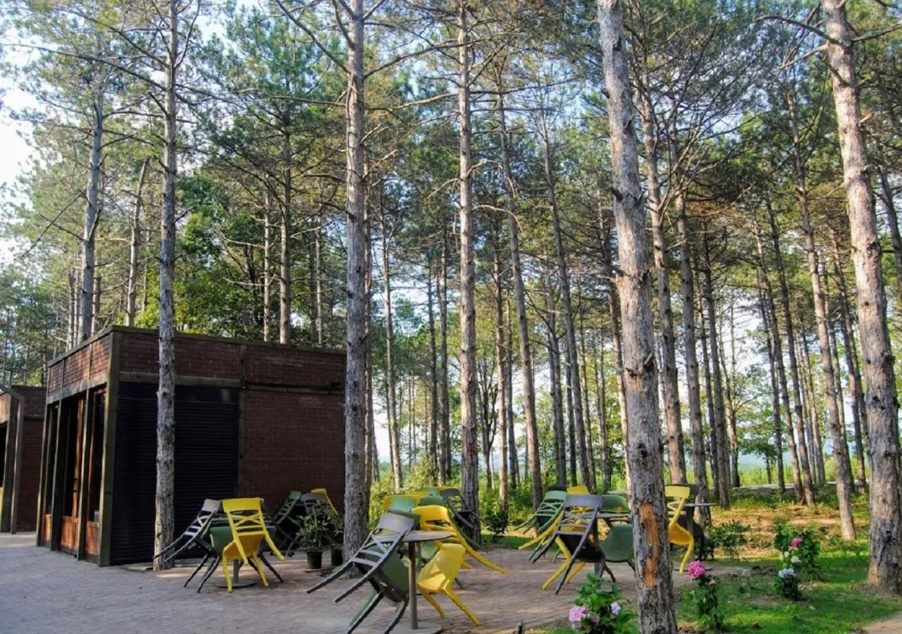Patio in LONGOSPHERE GLAMPING