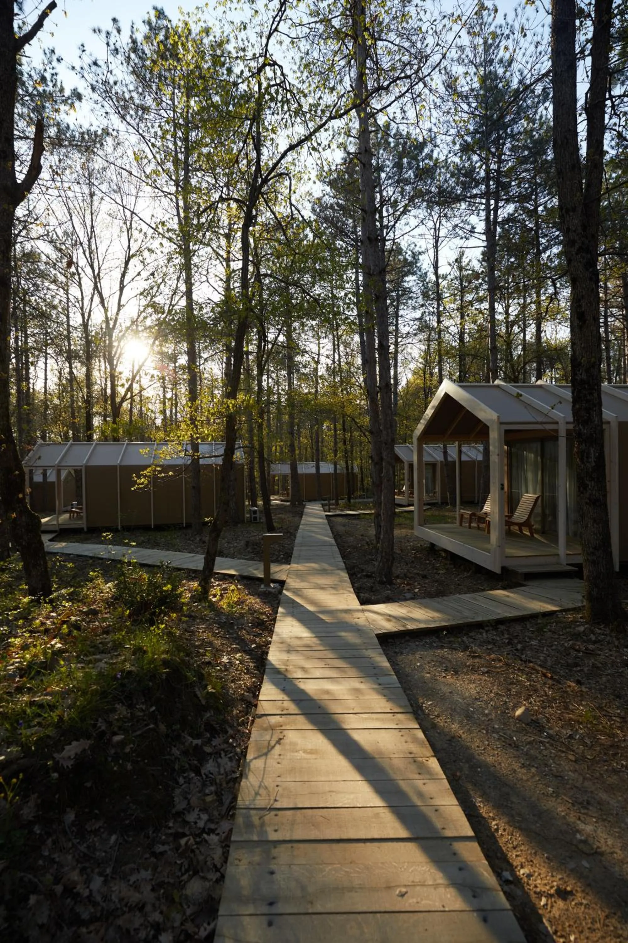 Photo of the whole room in LONGOSPHERE GLAMPING