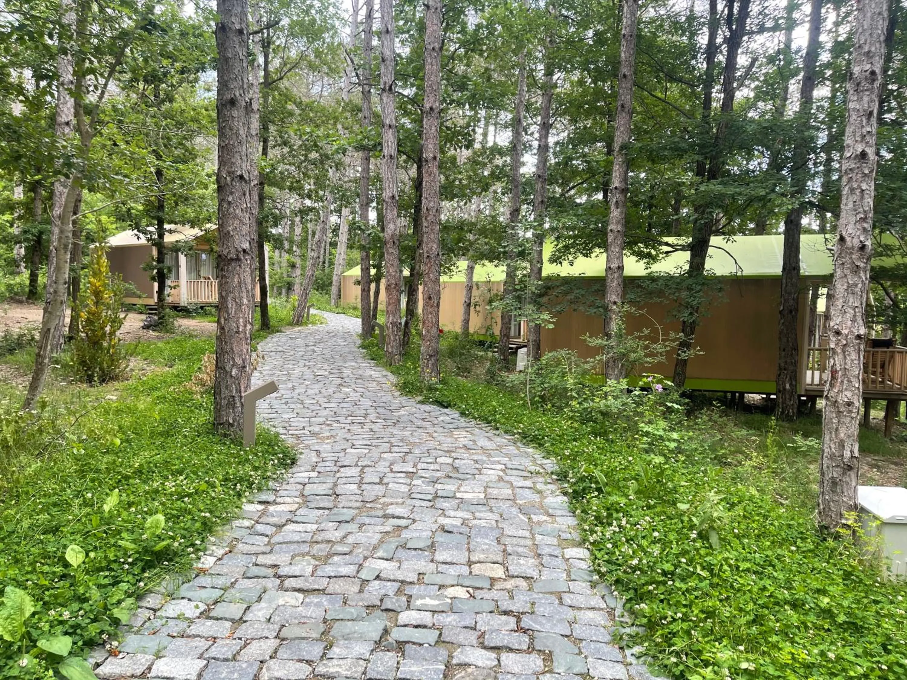 Garden in LONGOSPHERE GLAMPING