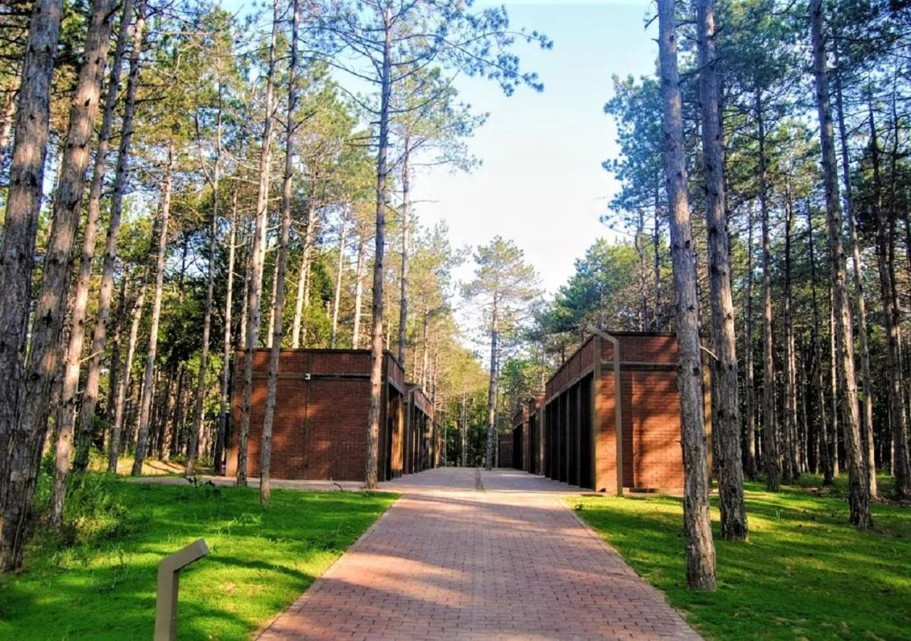 BBQ facilities in LONGOSPHERE GLAMPING