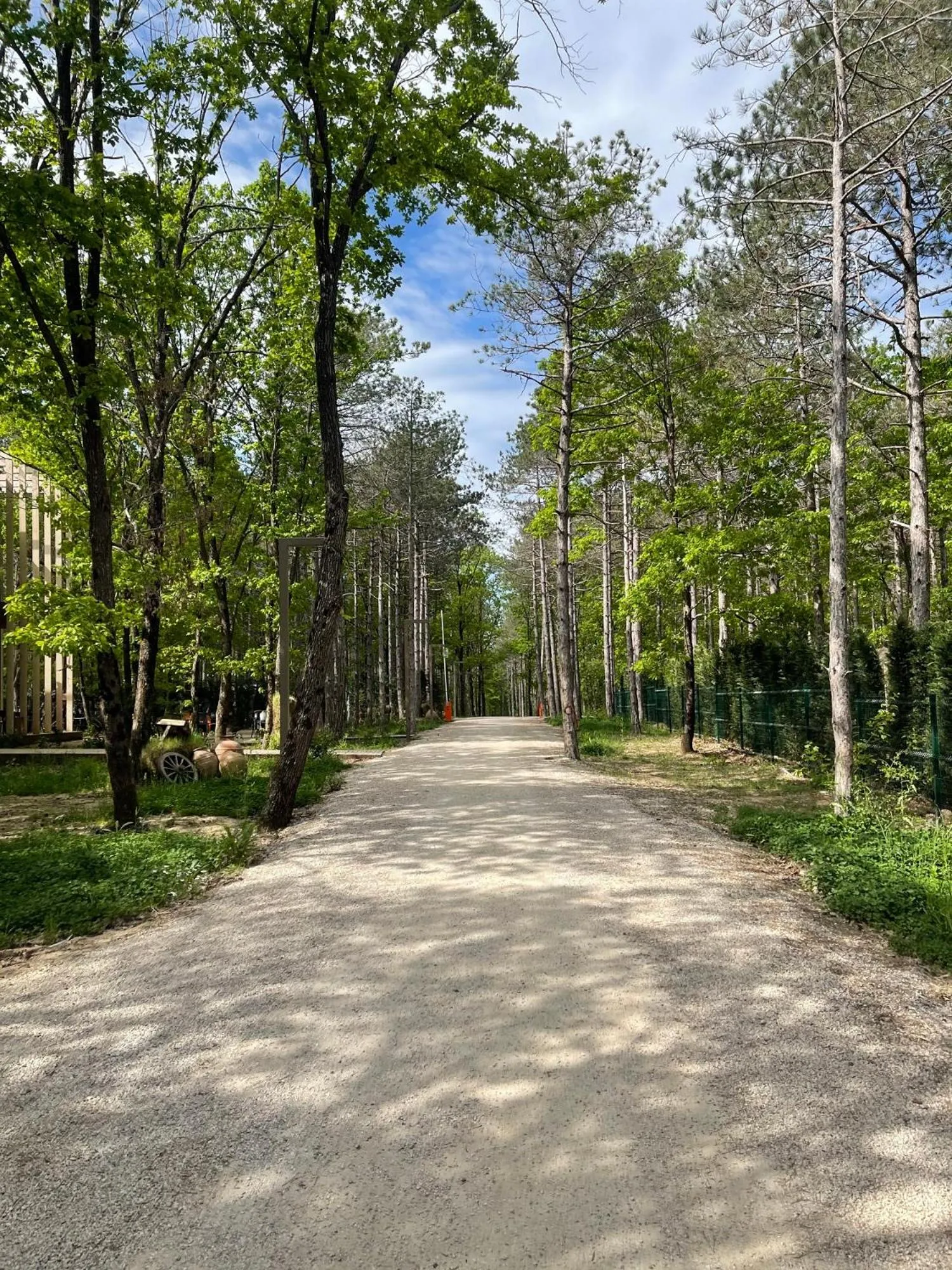 Hiking in LONGOSPHERE GLAMPING