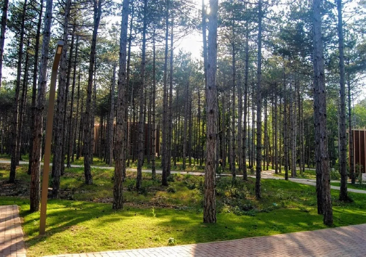 Natural landscape in LONGOSPHERE GLAMPING