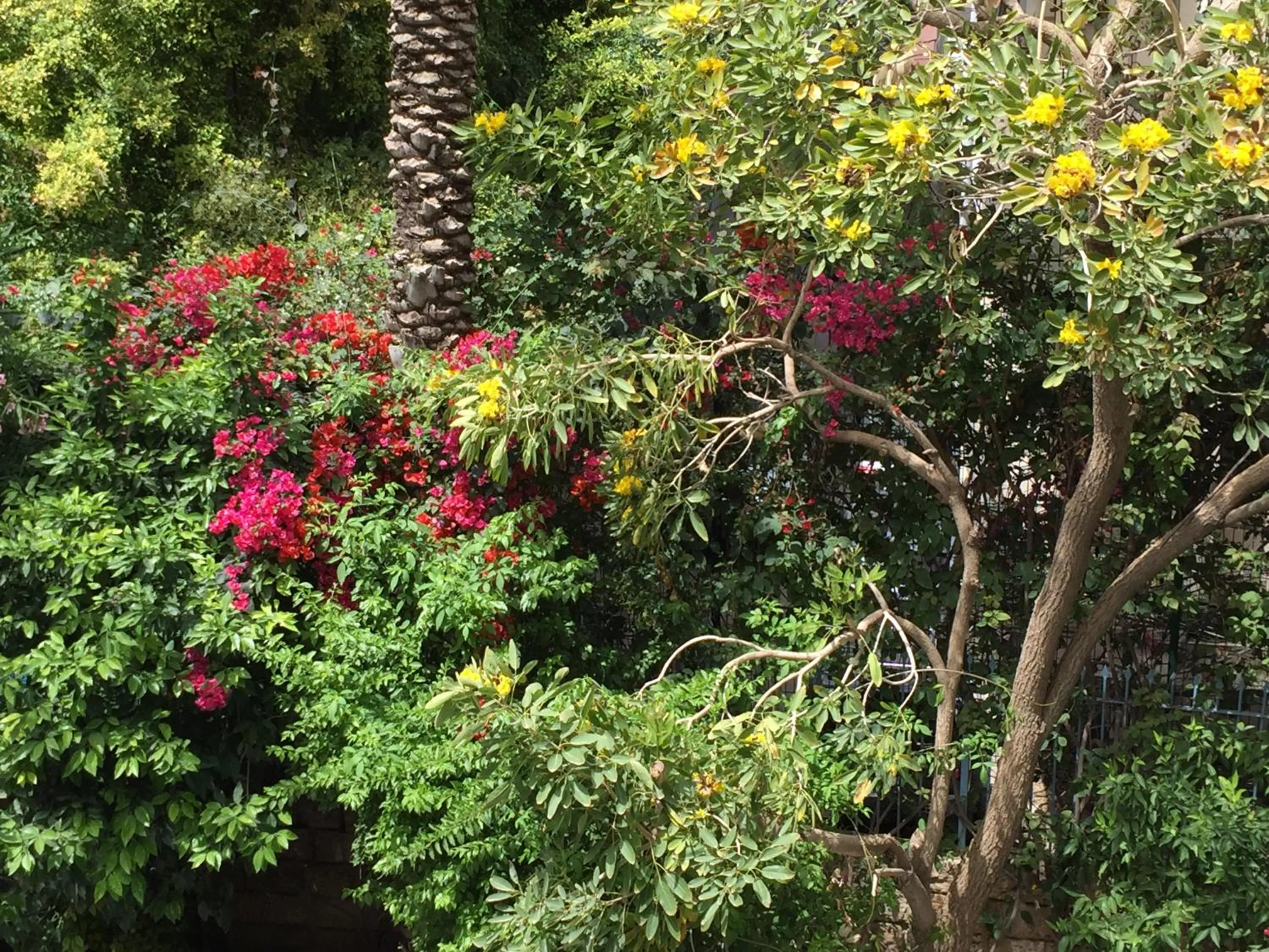 Natural landscape in Arthaus Beirut