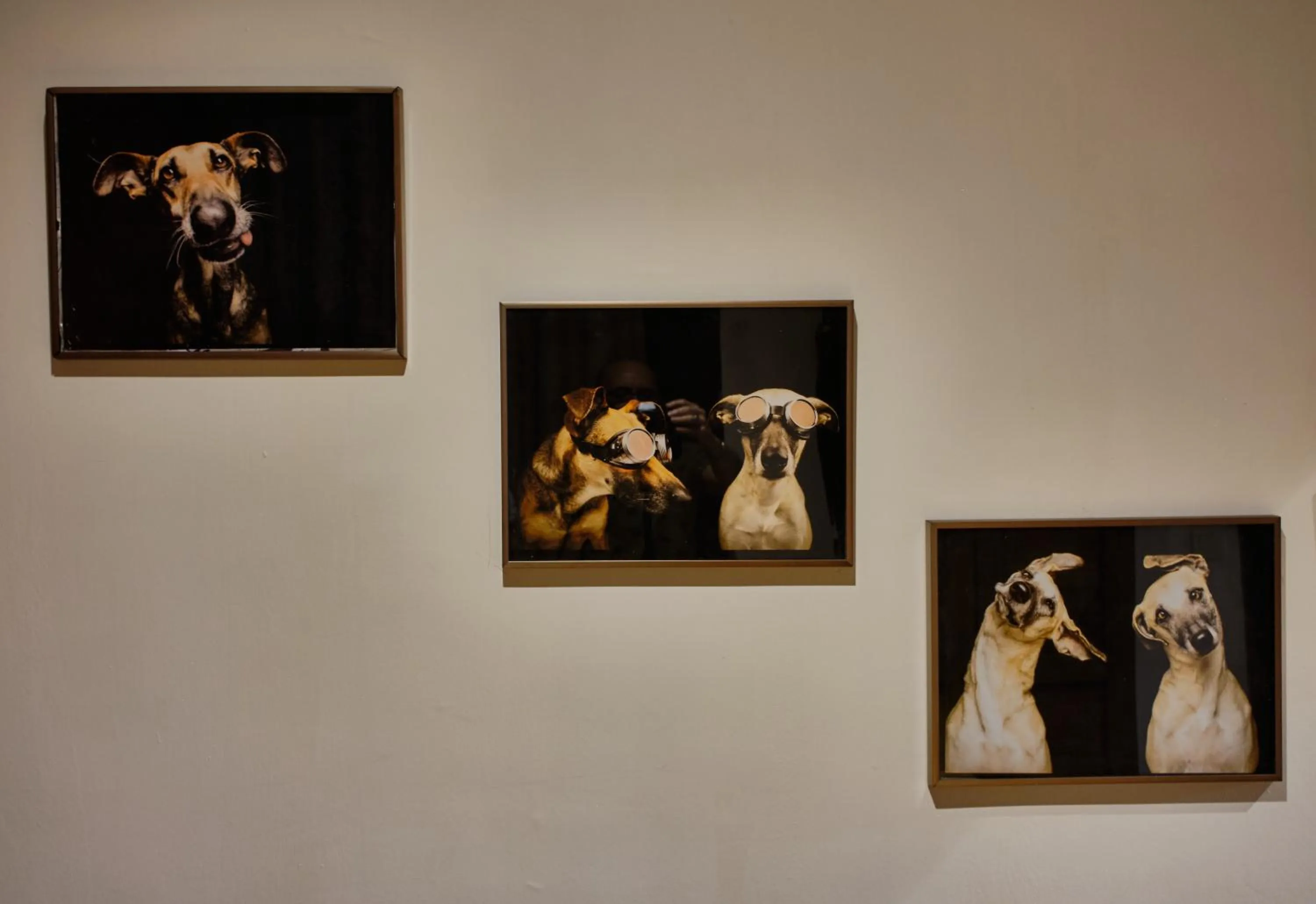 Decorative detail in Reu de Hotel